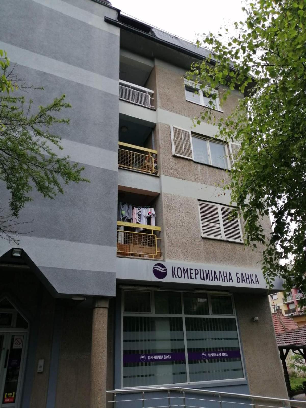 Apartman Bogdanović Sokobanja view 3