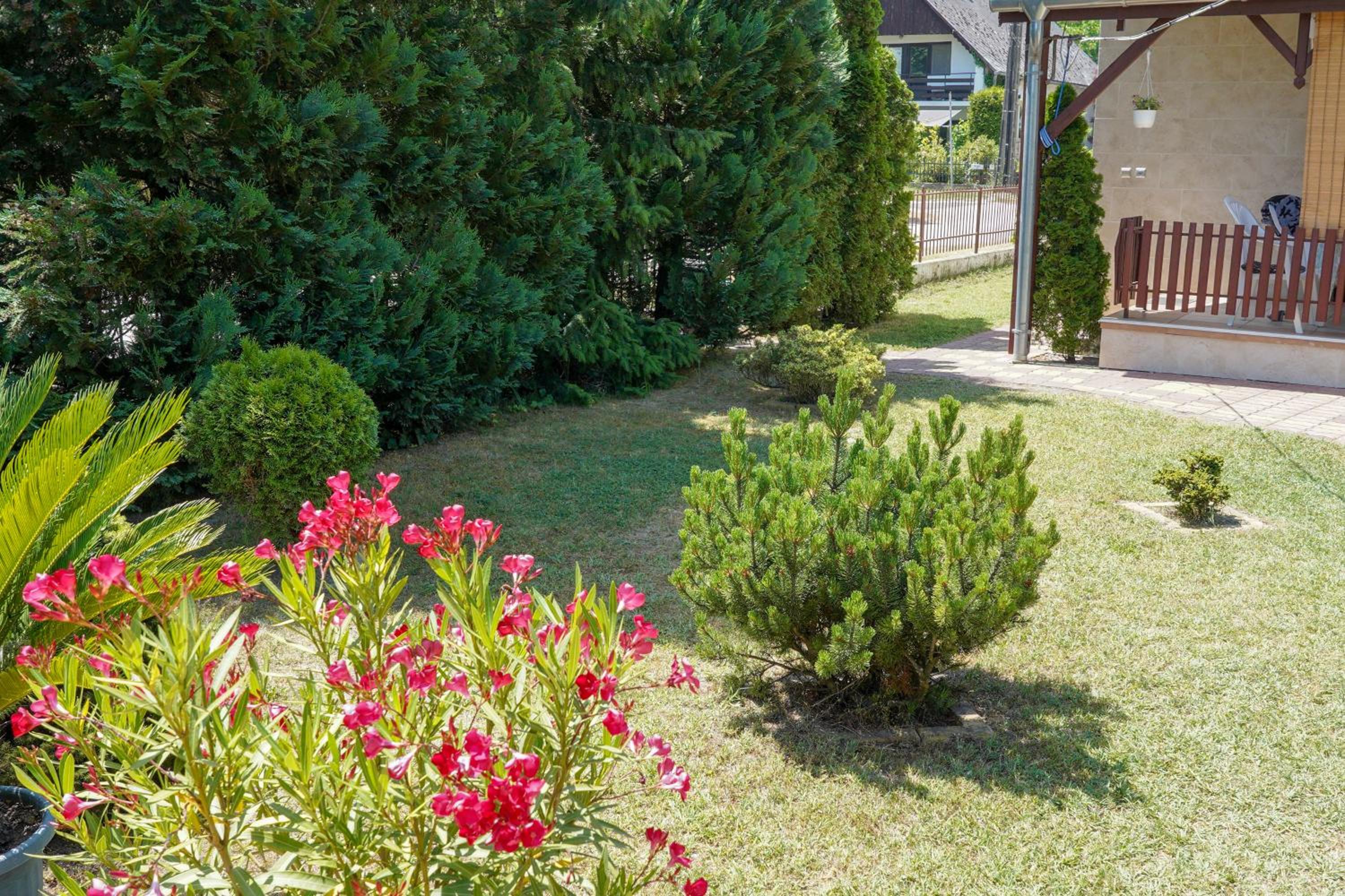 Photo 43