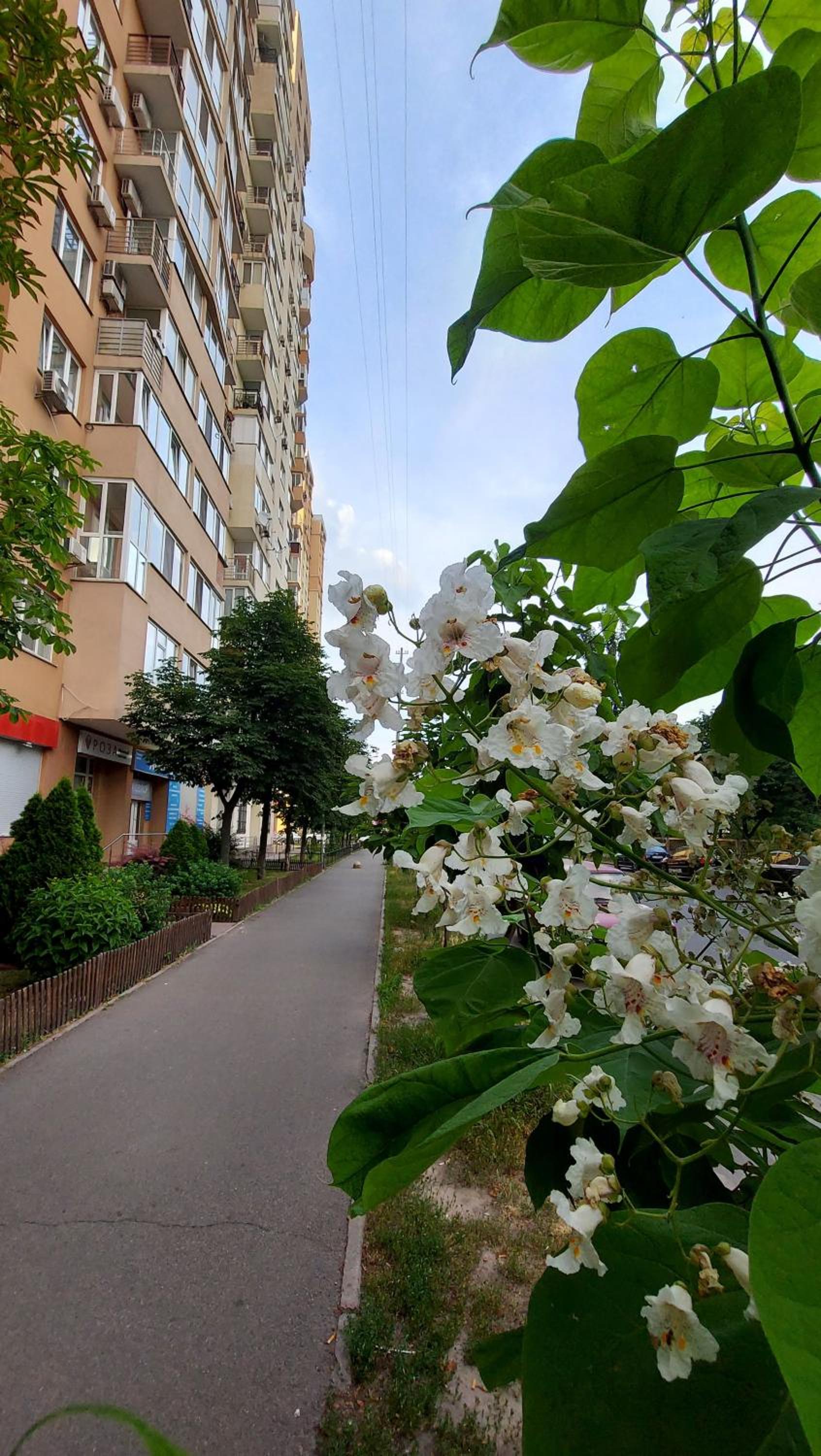 Теплі просторі апартаменти Опалення, ліфт, Wi-fi, вода є! view 5