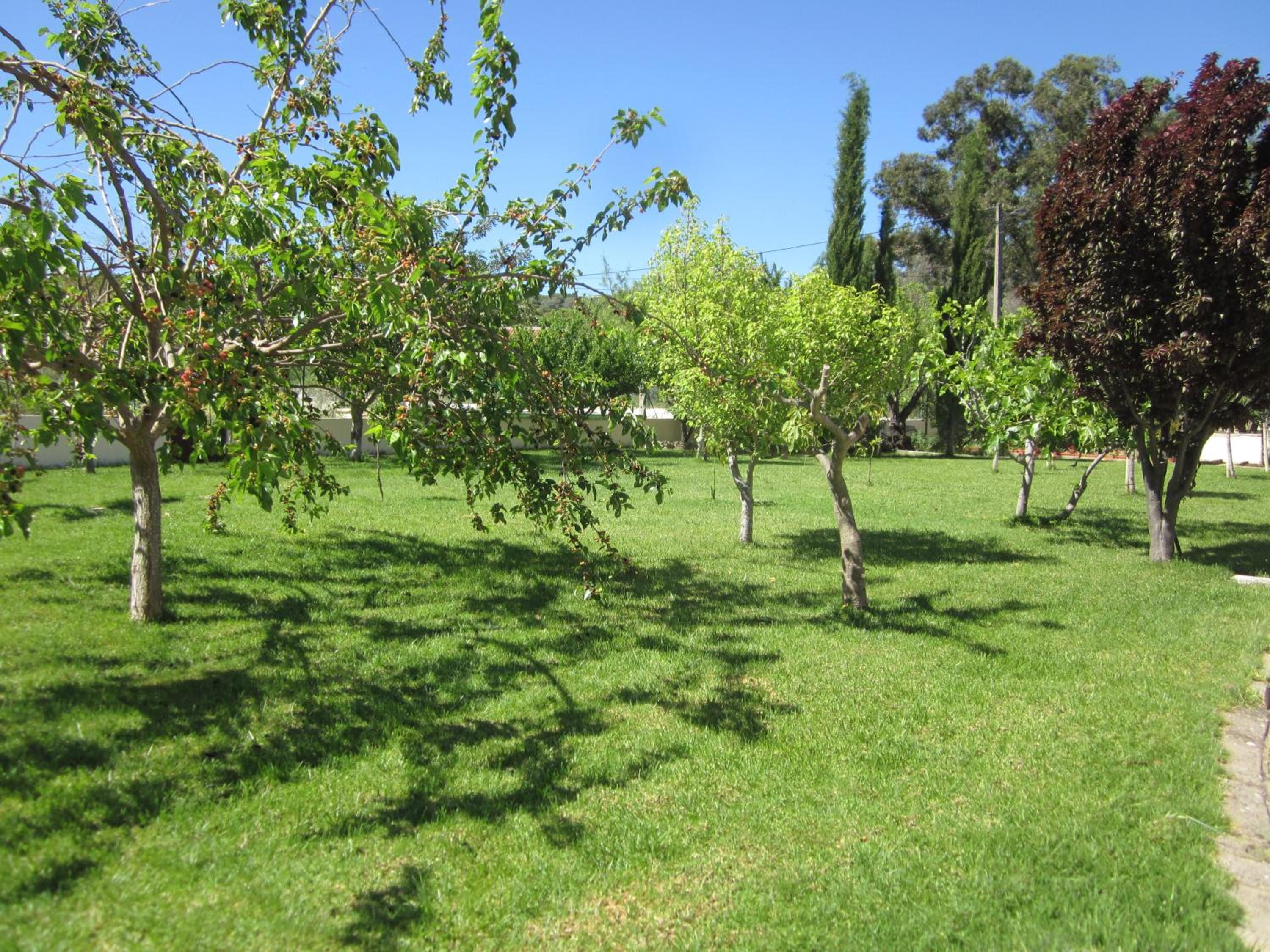 Casal da Eira view 5