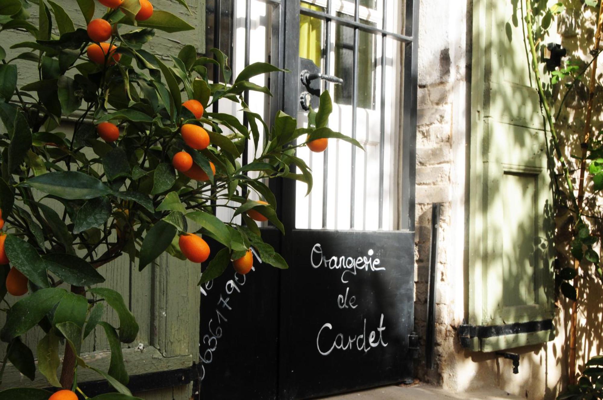 Orangerie de Cardet - FamilySuite 