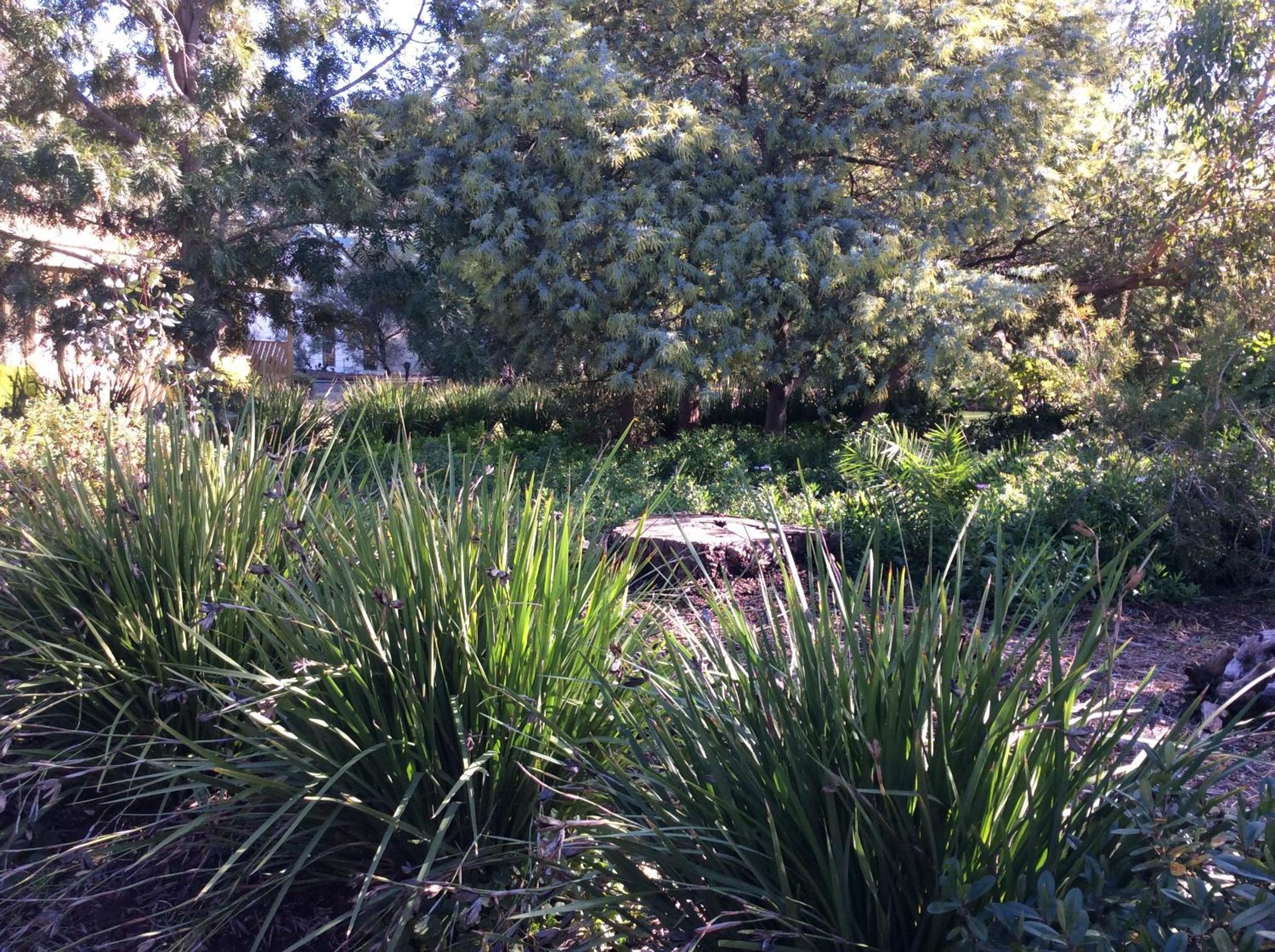 Winbi River Resort Holiday Rentals