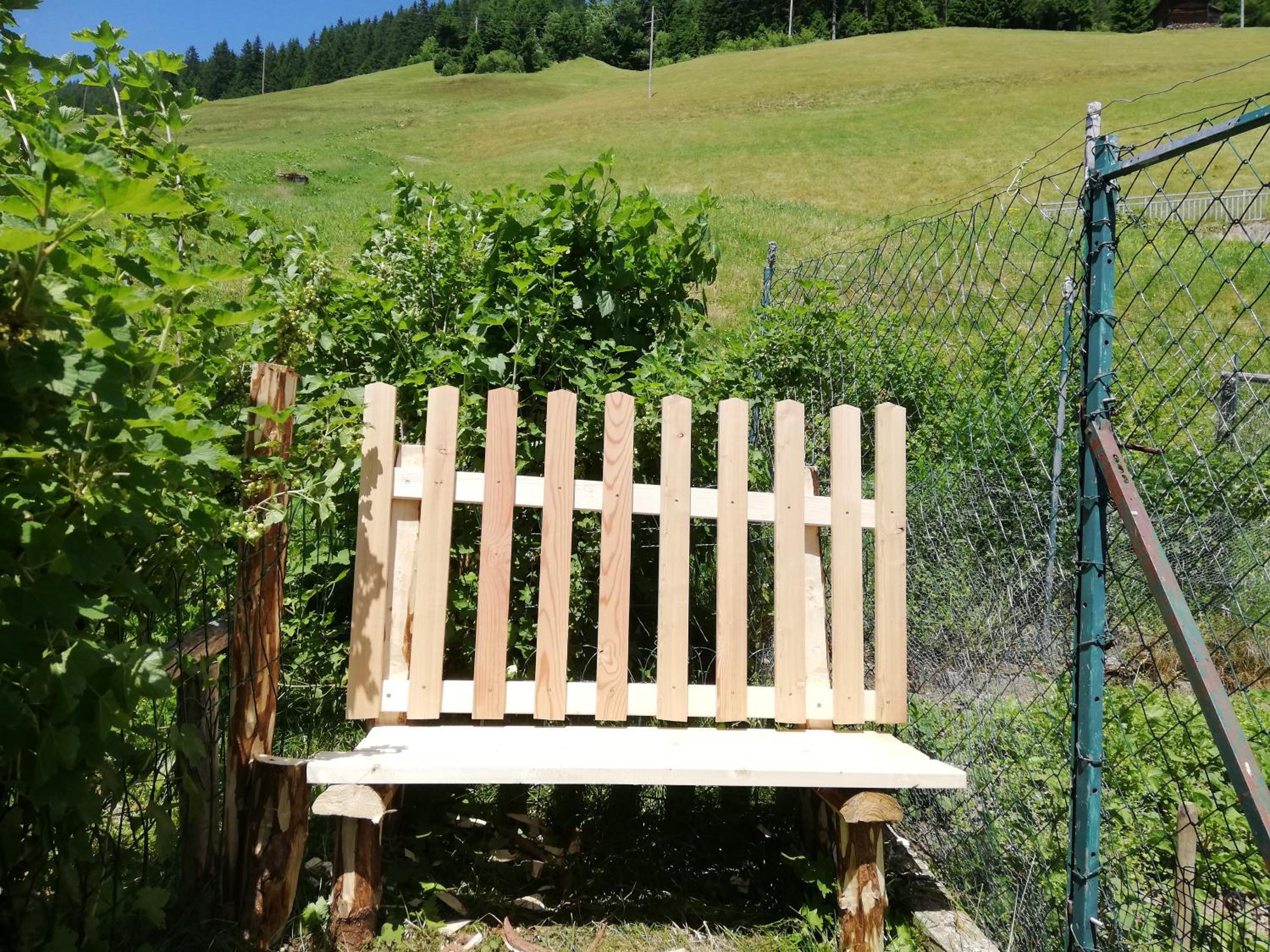 Photo 6