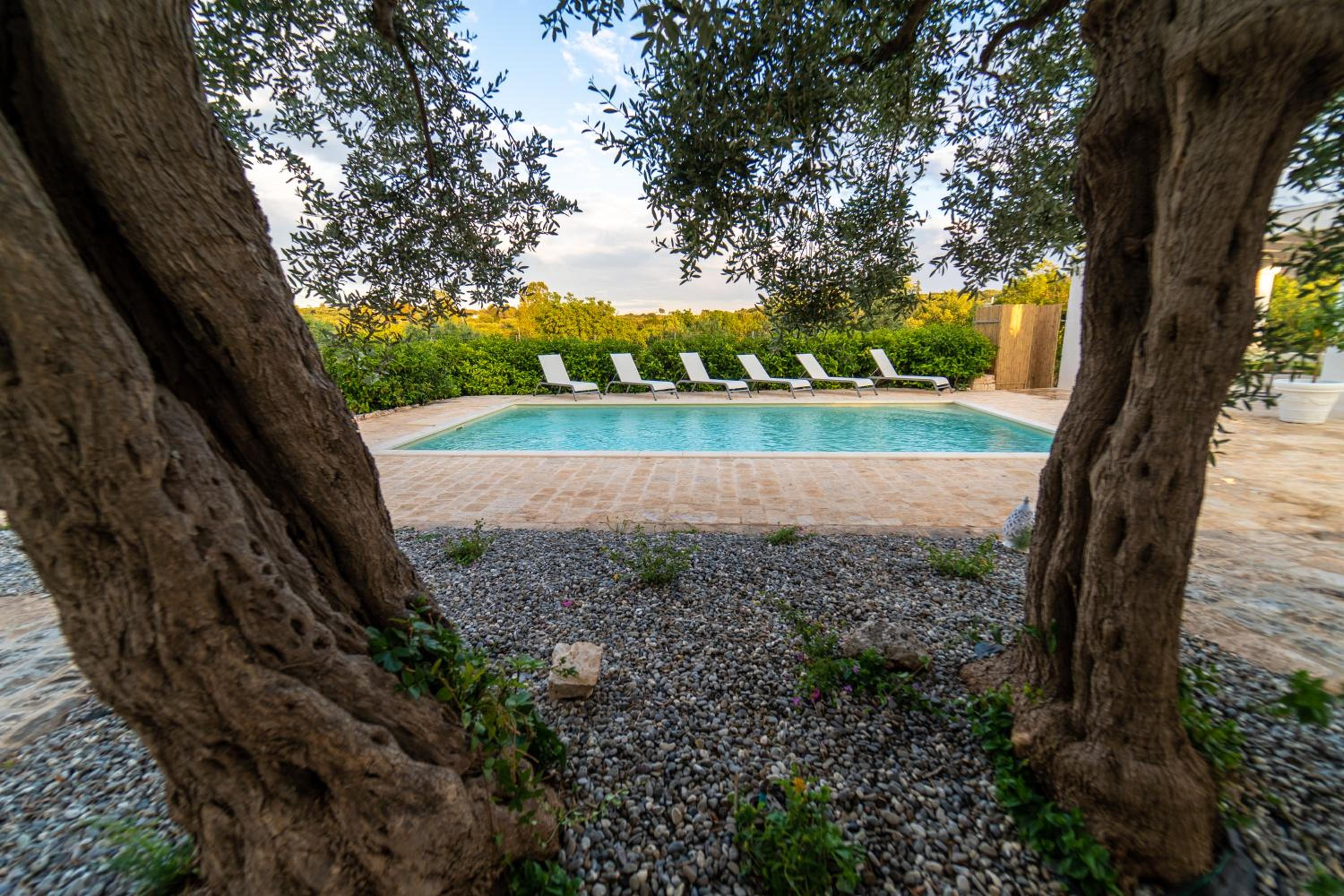 Casale del Gelso photo 5