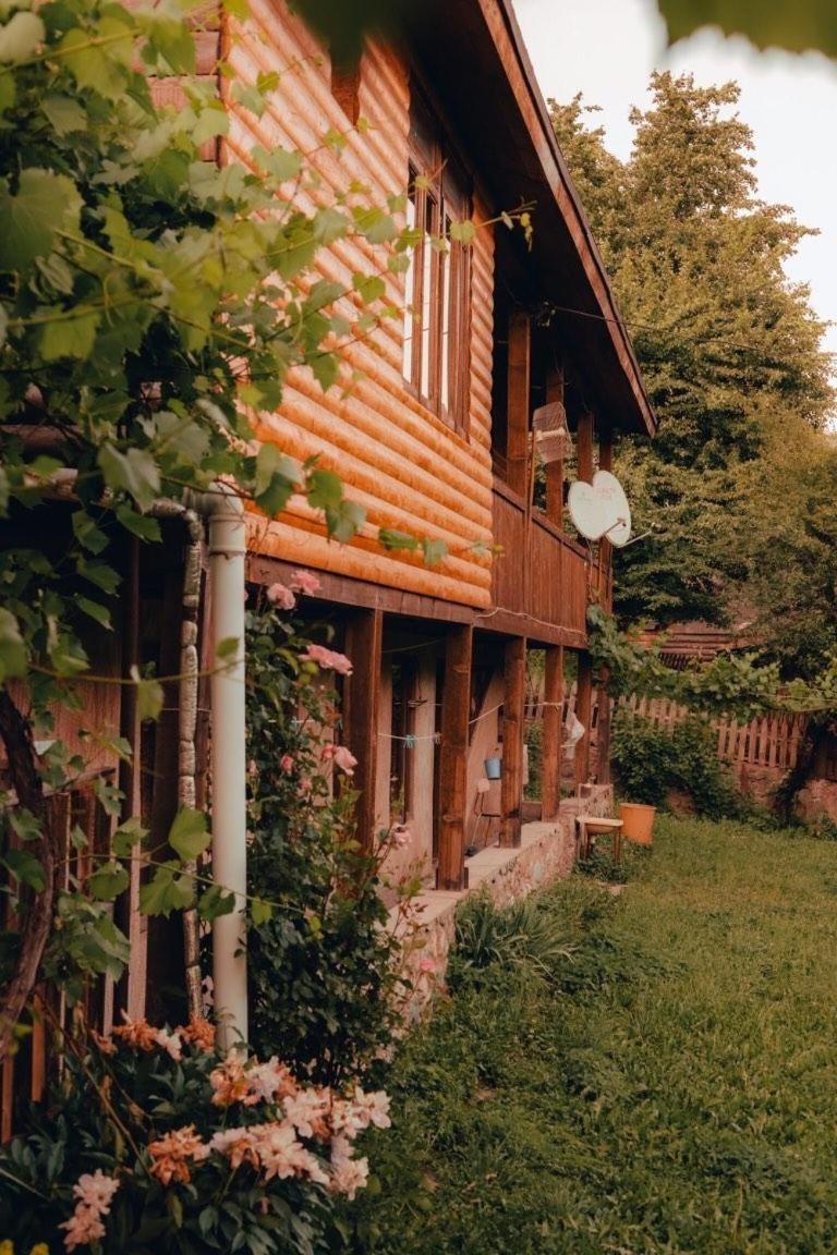 Teo Guesthouse and Camping in Mestia view 2