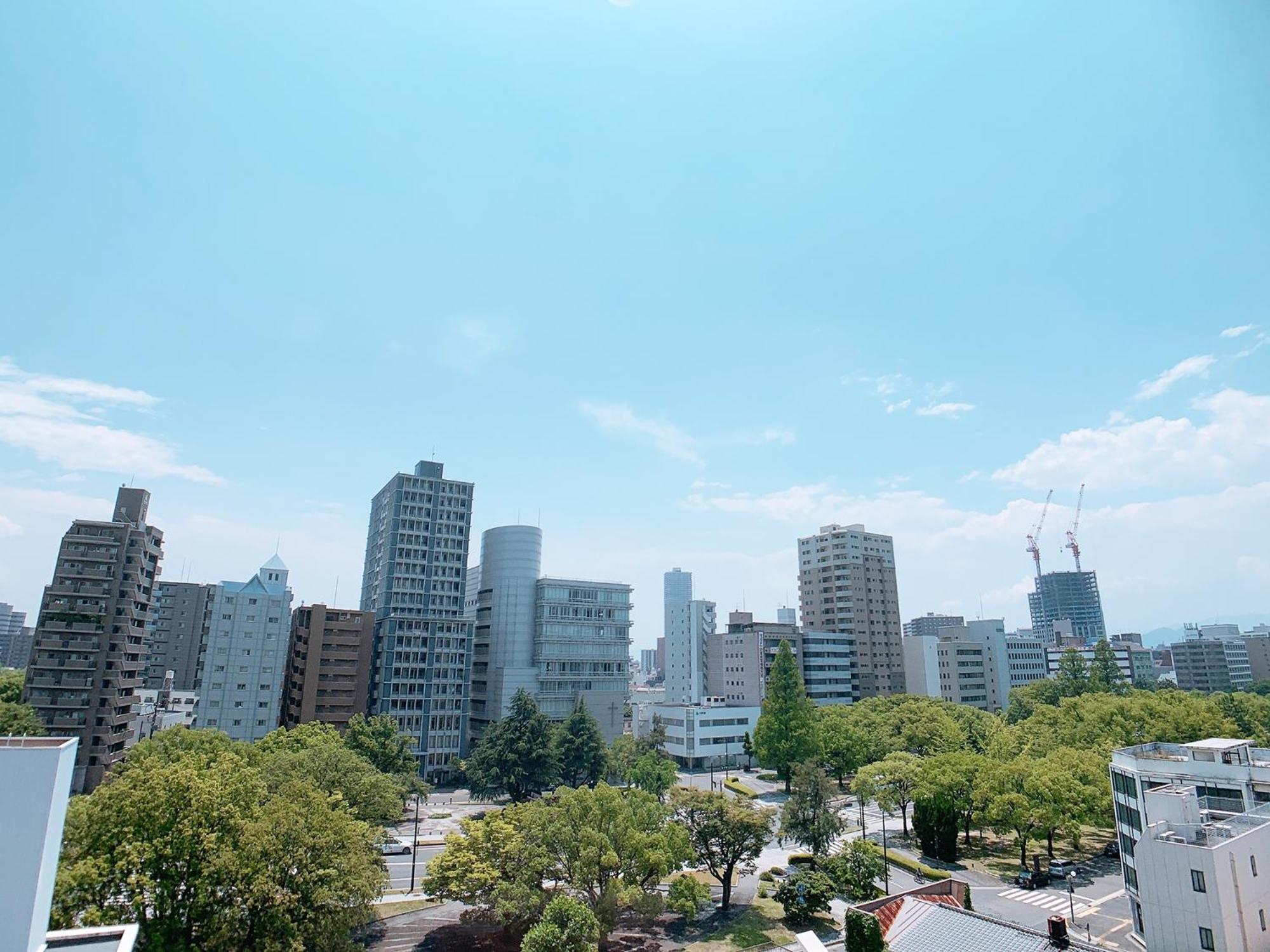 Lion Heiwa Odori view 5