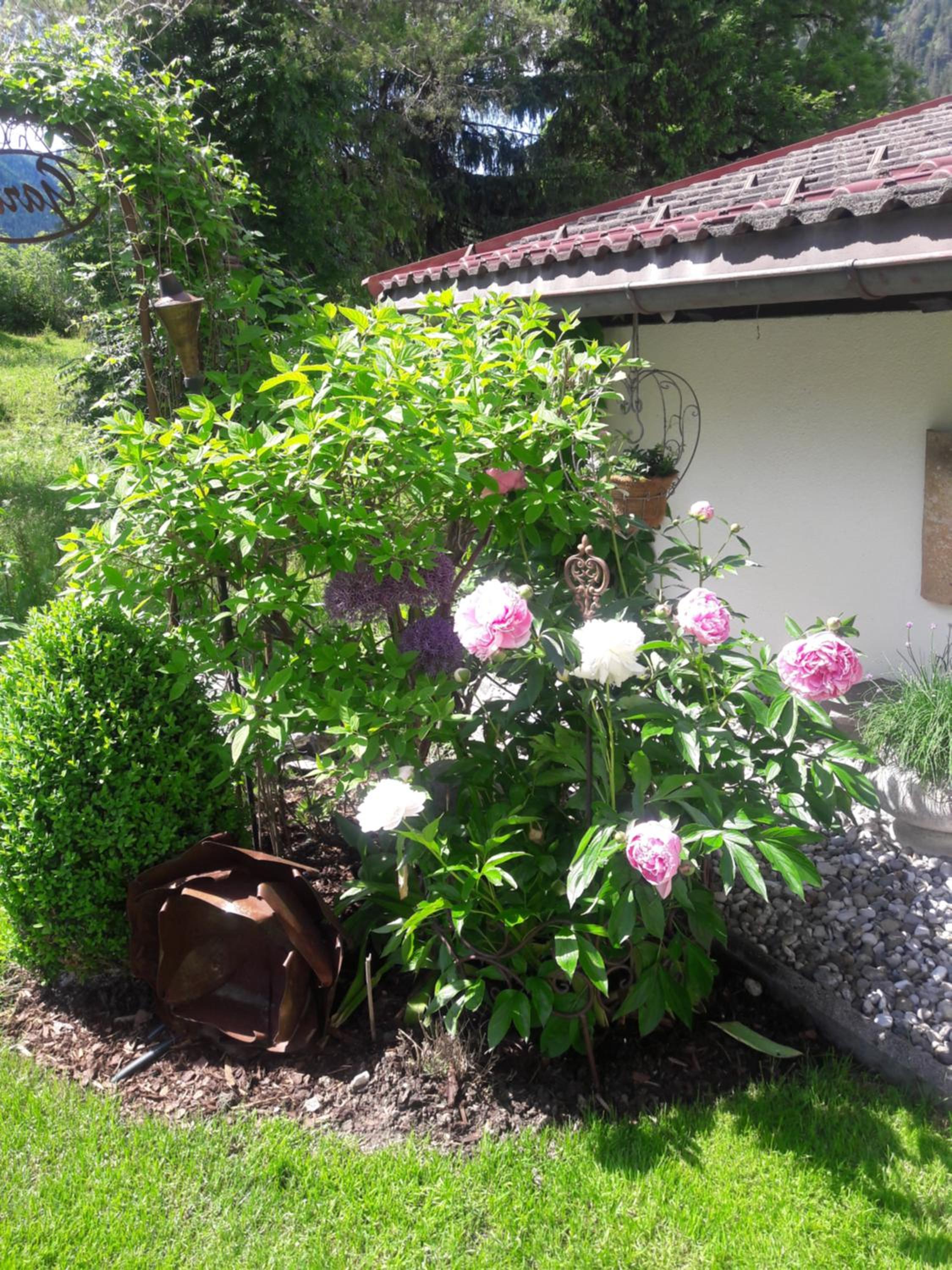 Bergheim