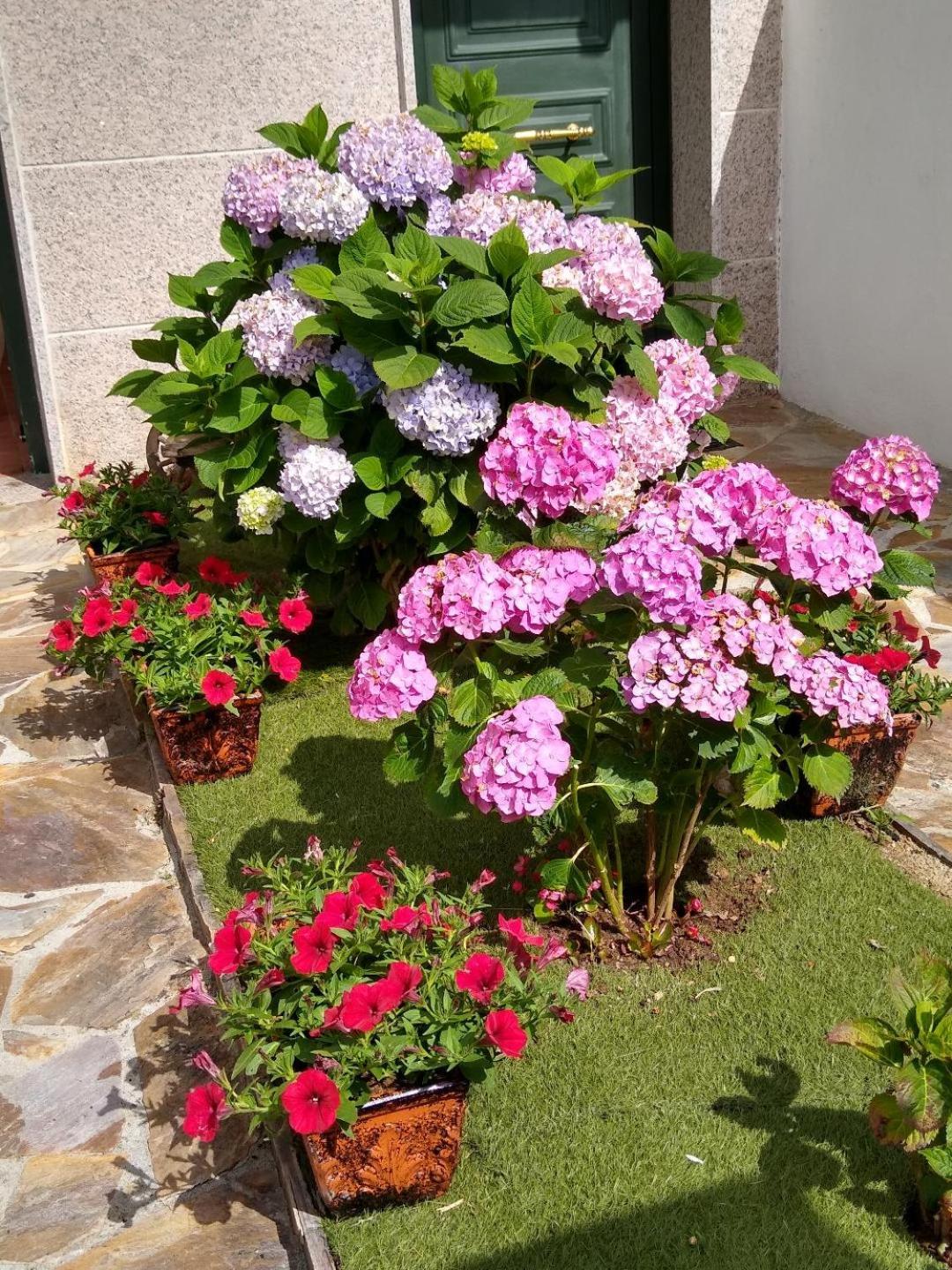 En plena Ribera Sacra CasaCocó