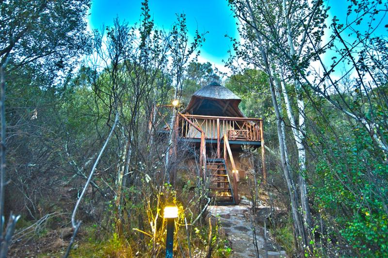 Letsatsi Game Lodge