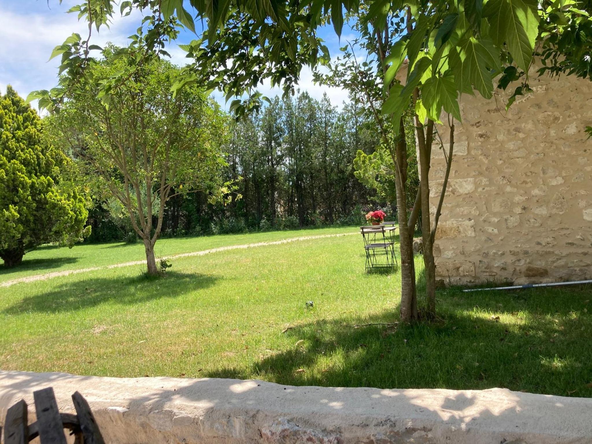 Photo 21