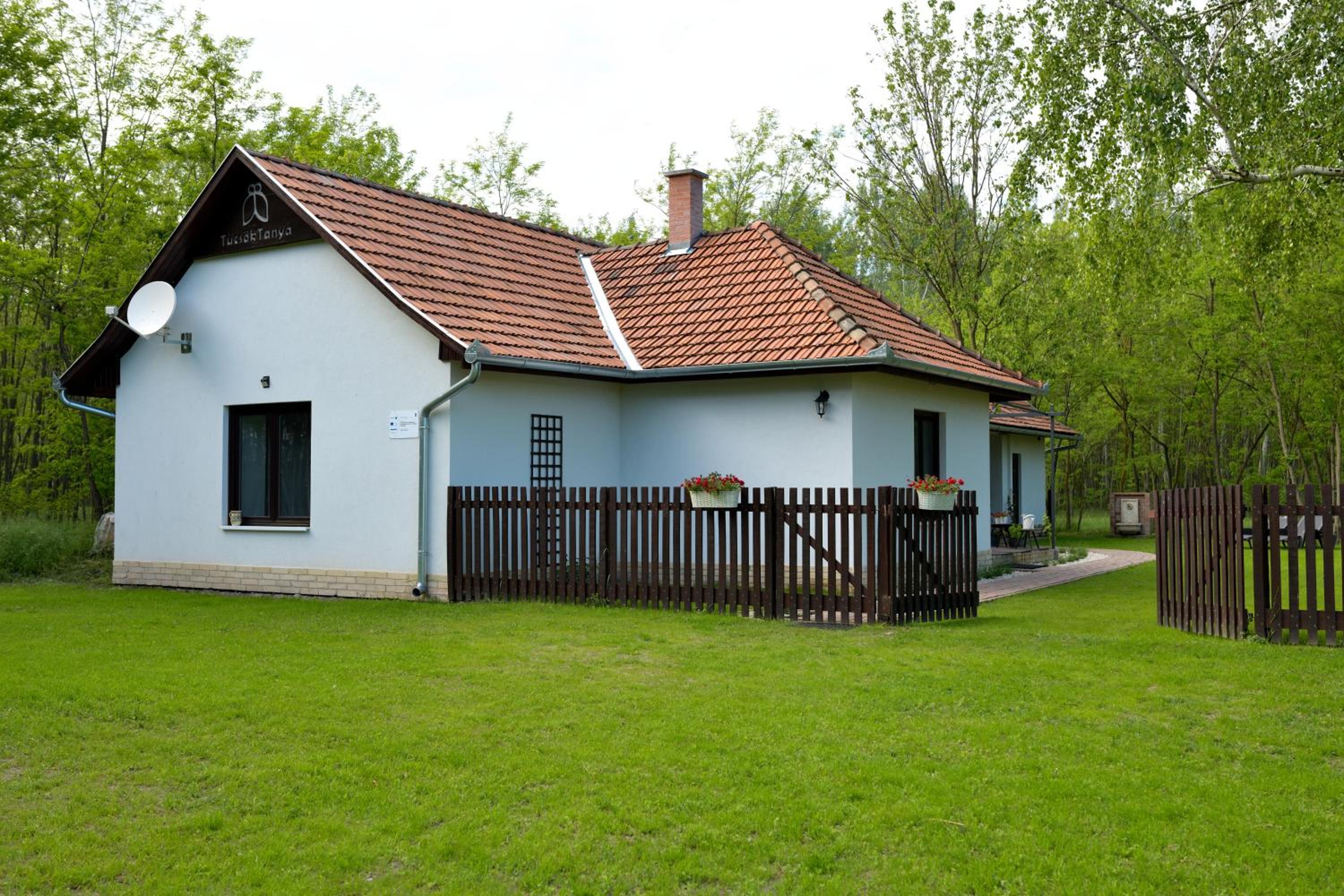 Photo 38