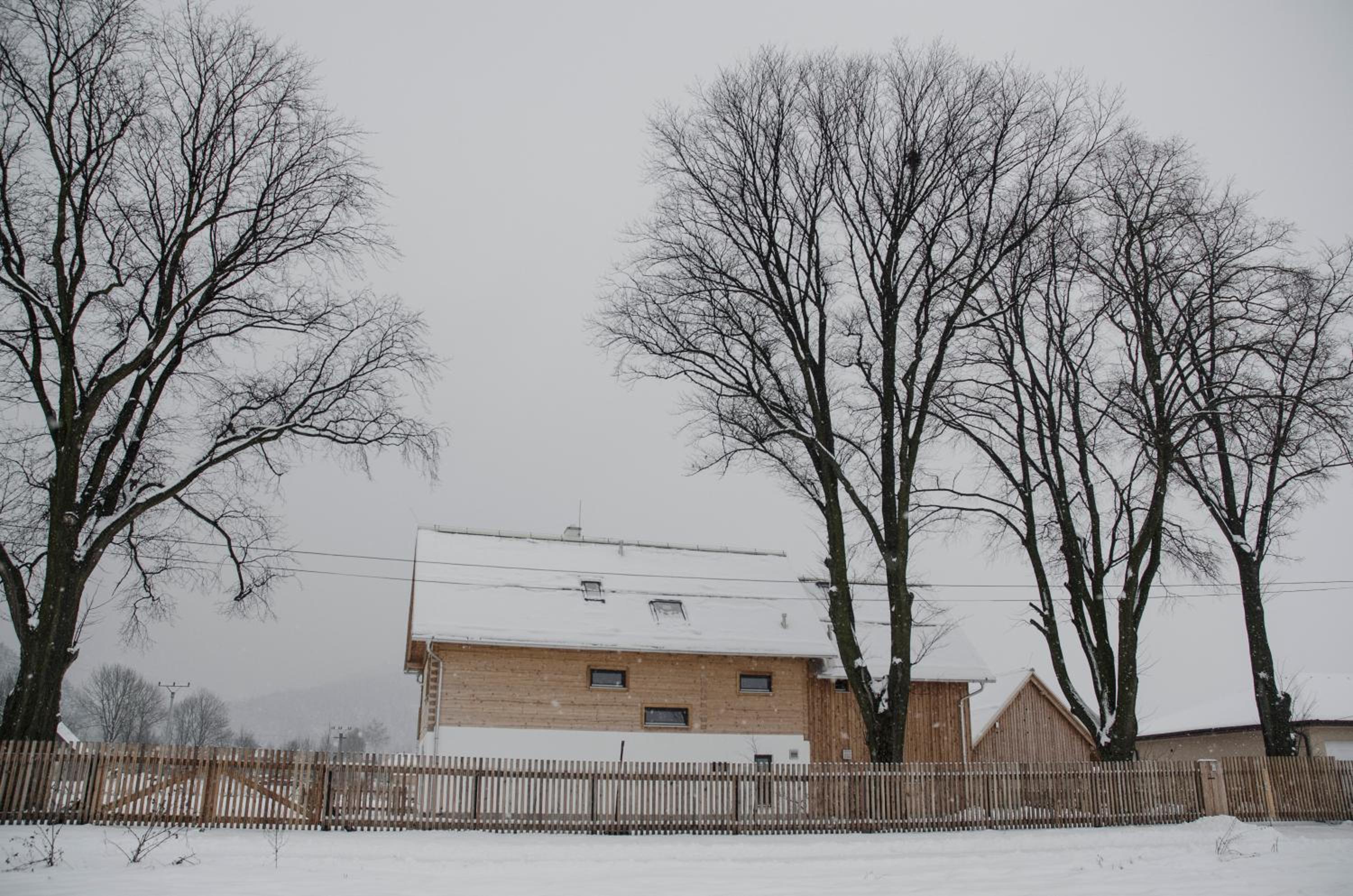 Photo 20