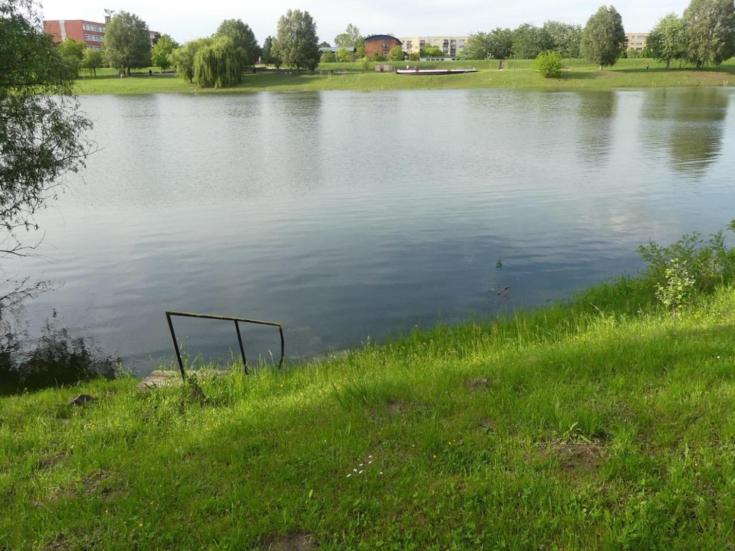 Photo 12