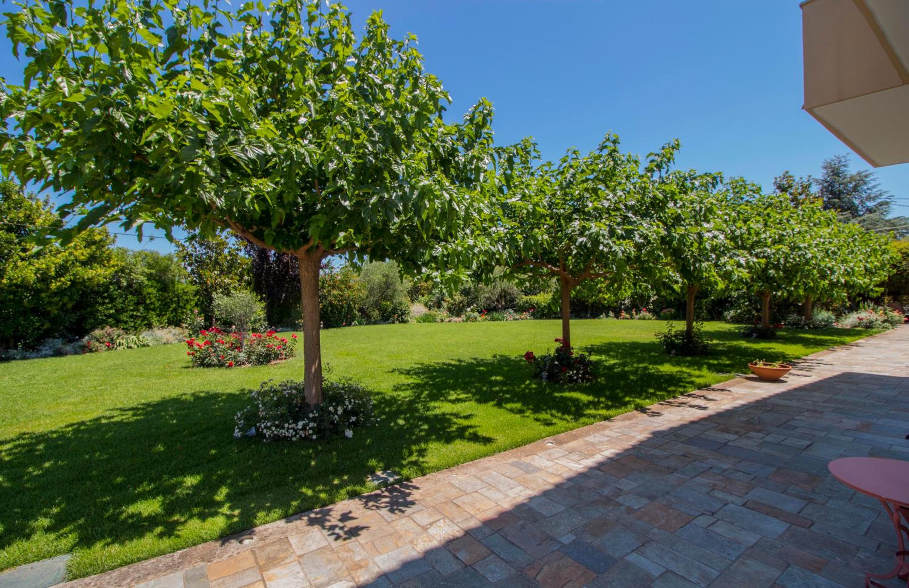 Villa Rodoula in Mystras