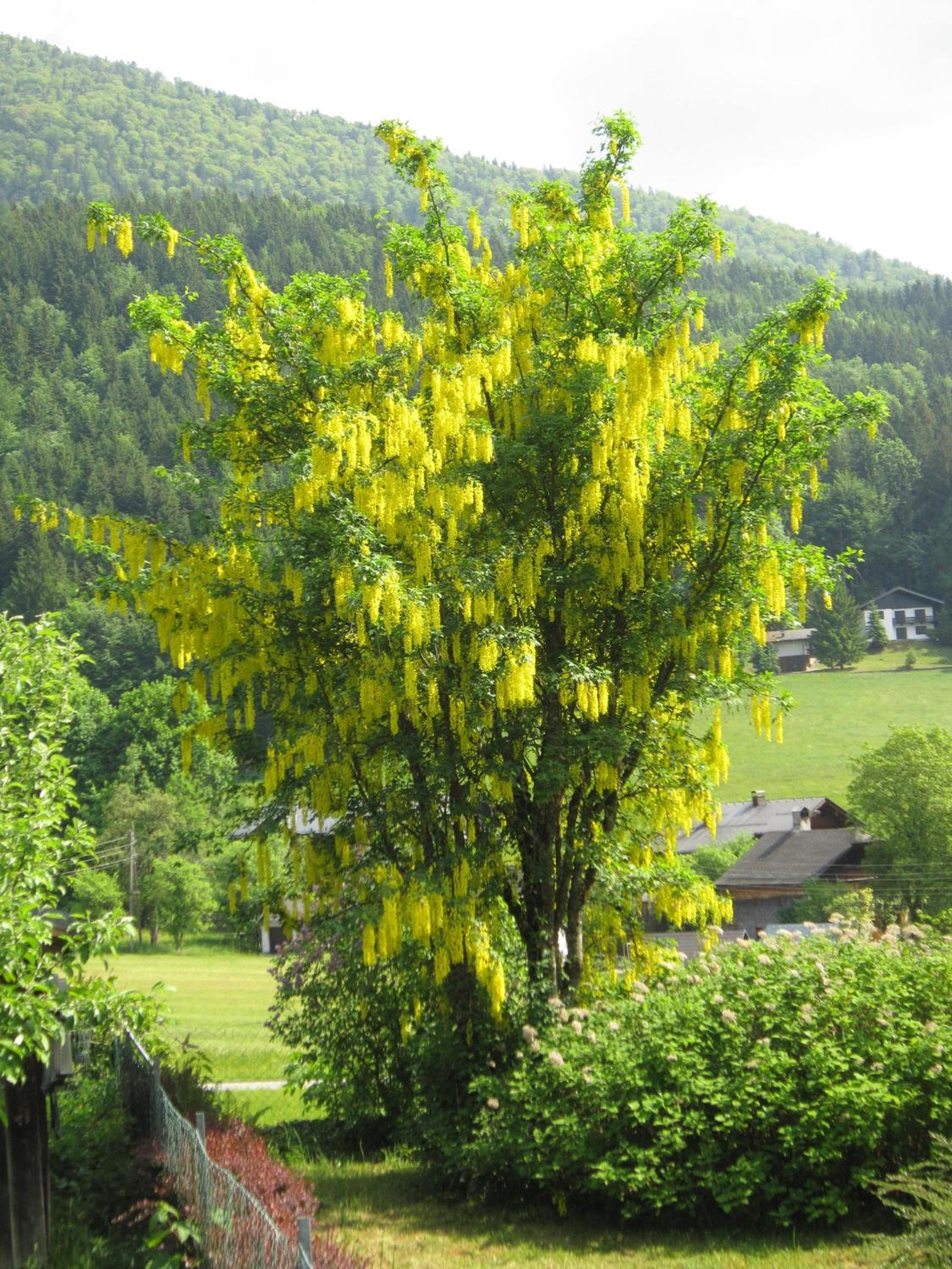 Appartement Scheibling
