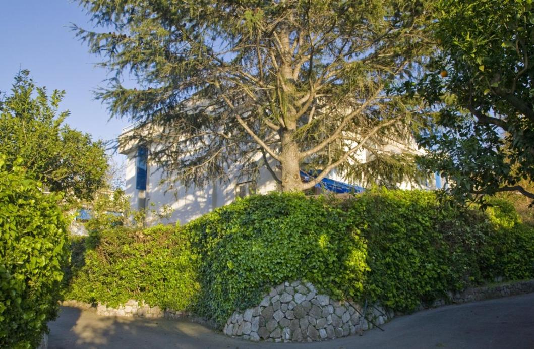 Villa Francesca Sorrento view 2