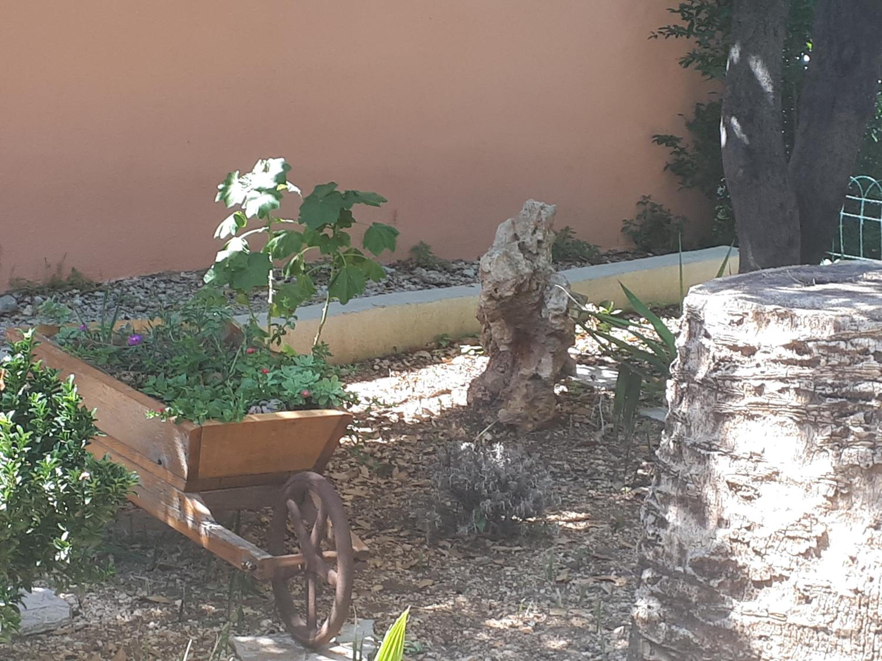 Photo 22