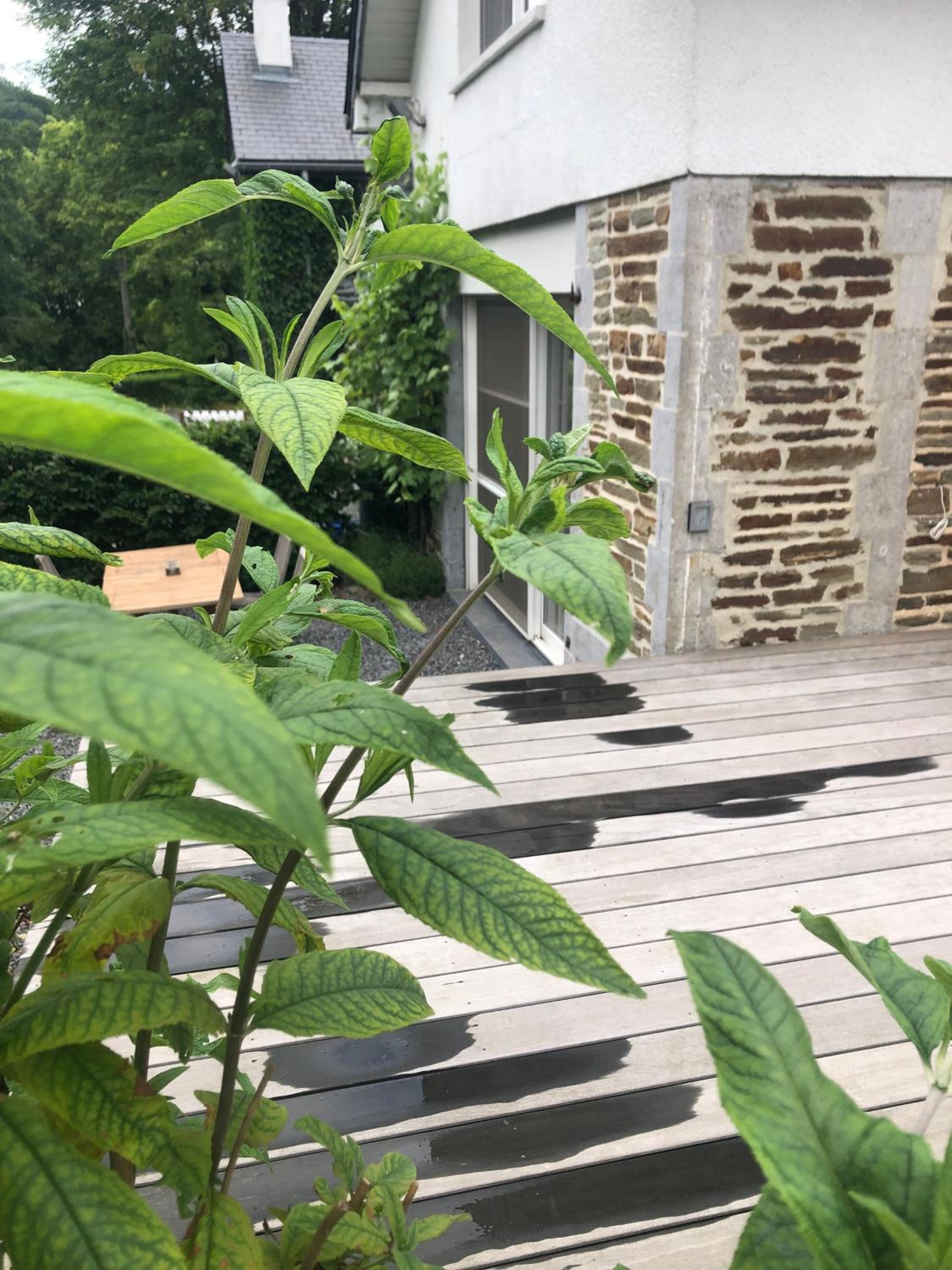 Cottage Marie-Henriette