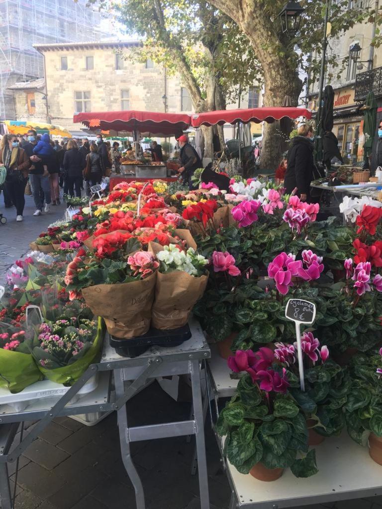 Un Coin De Luberon, photo 9