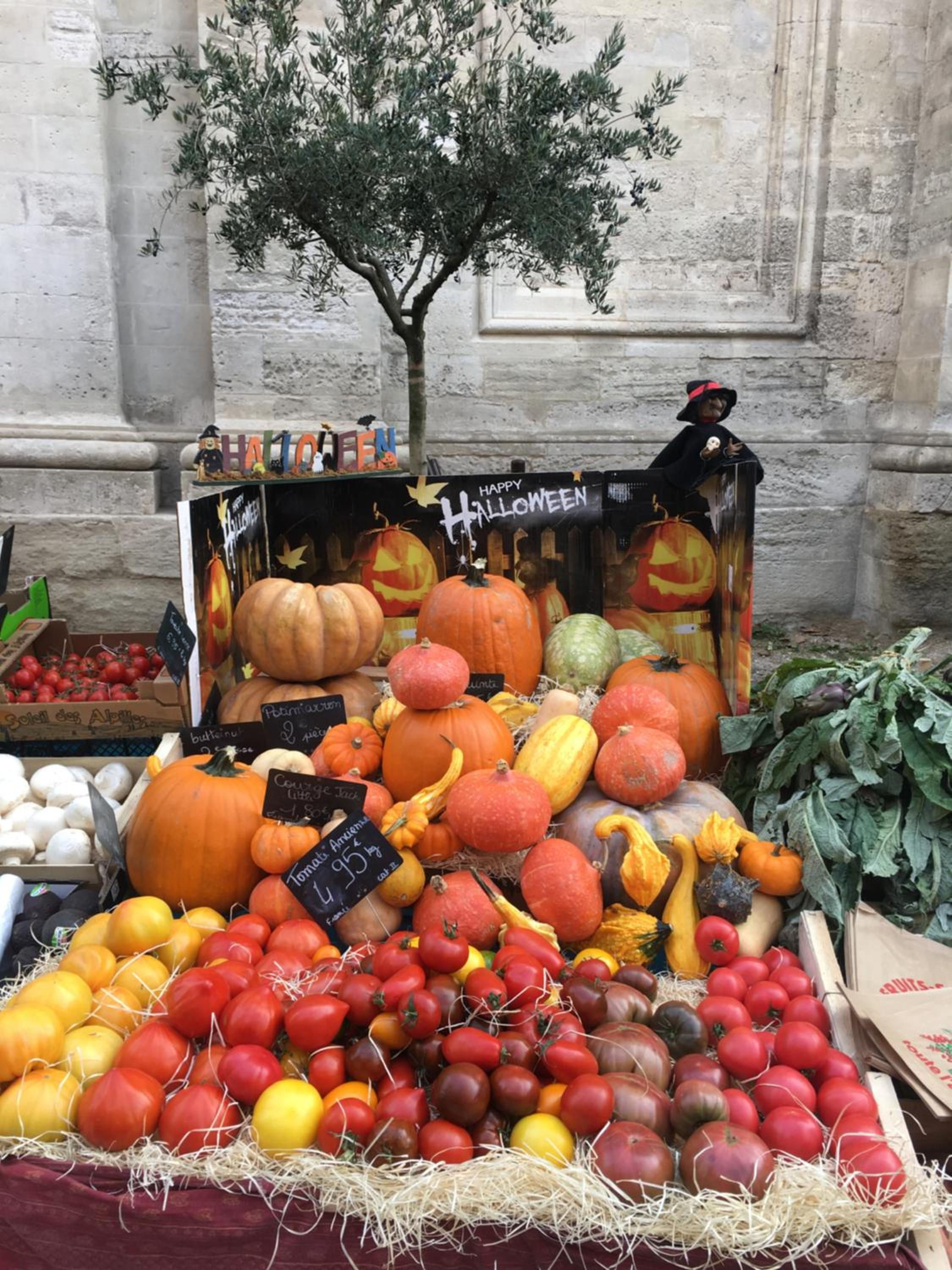 Un Coin De Luberon