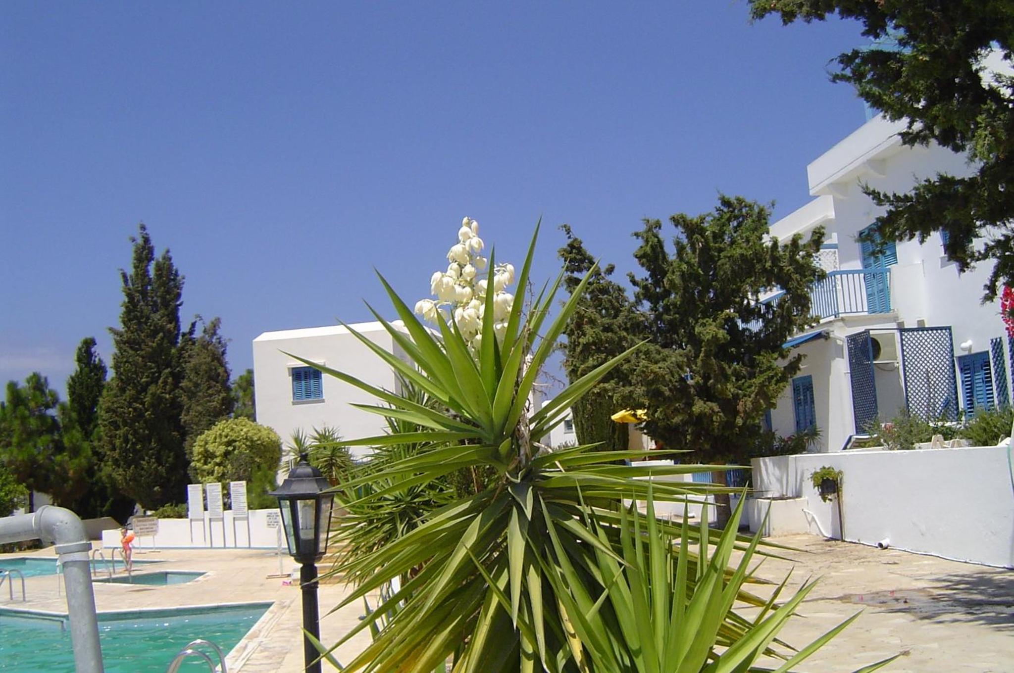 Paphos Vacations - Ikaria Village Maisonette 12 - Property Image 38