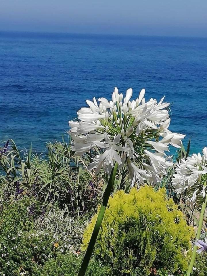 Paphos Vacations - Ikaria Village Maisonette 12 - Property Image 19