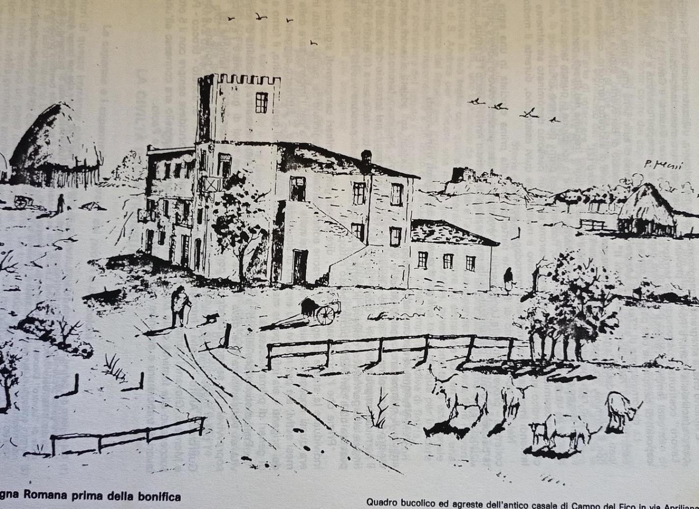 La Torre di Barbara, photo 59