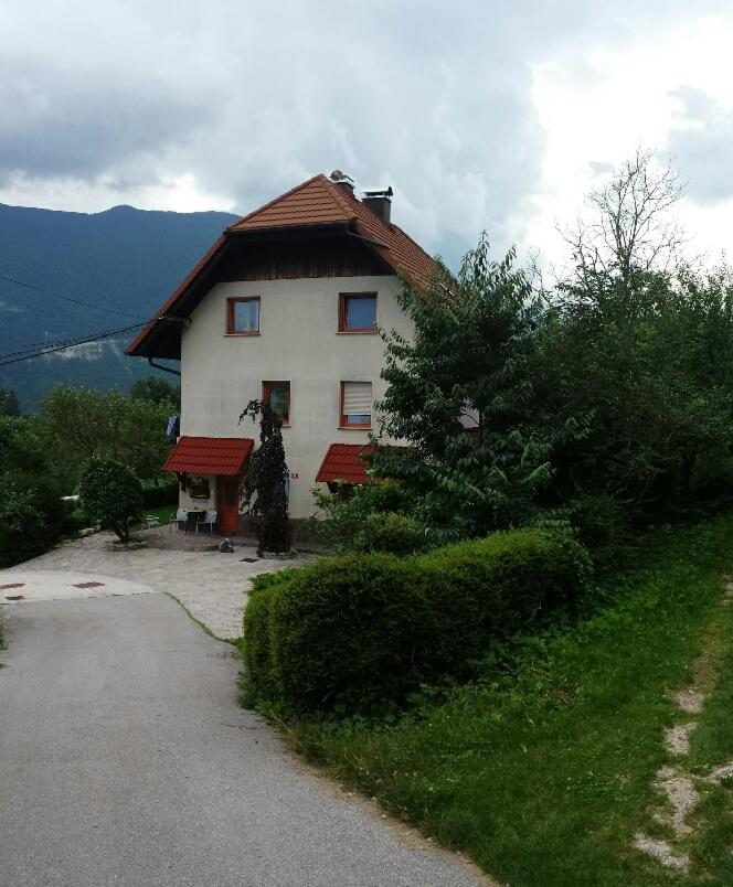 Photo 10