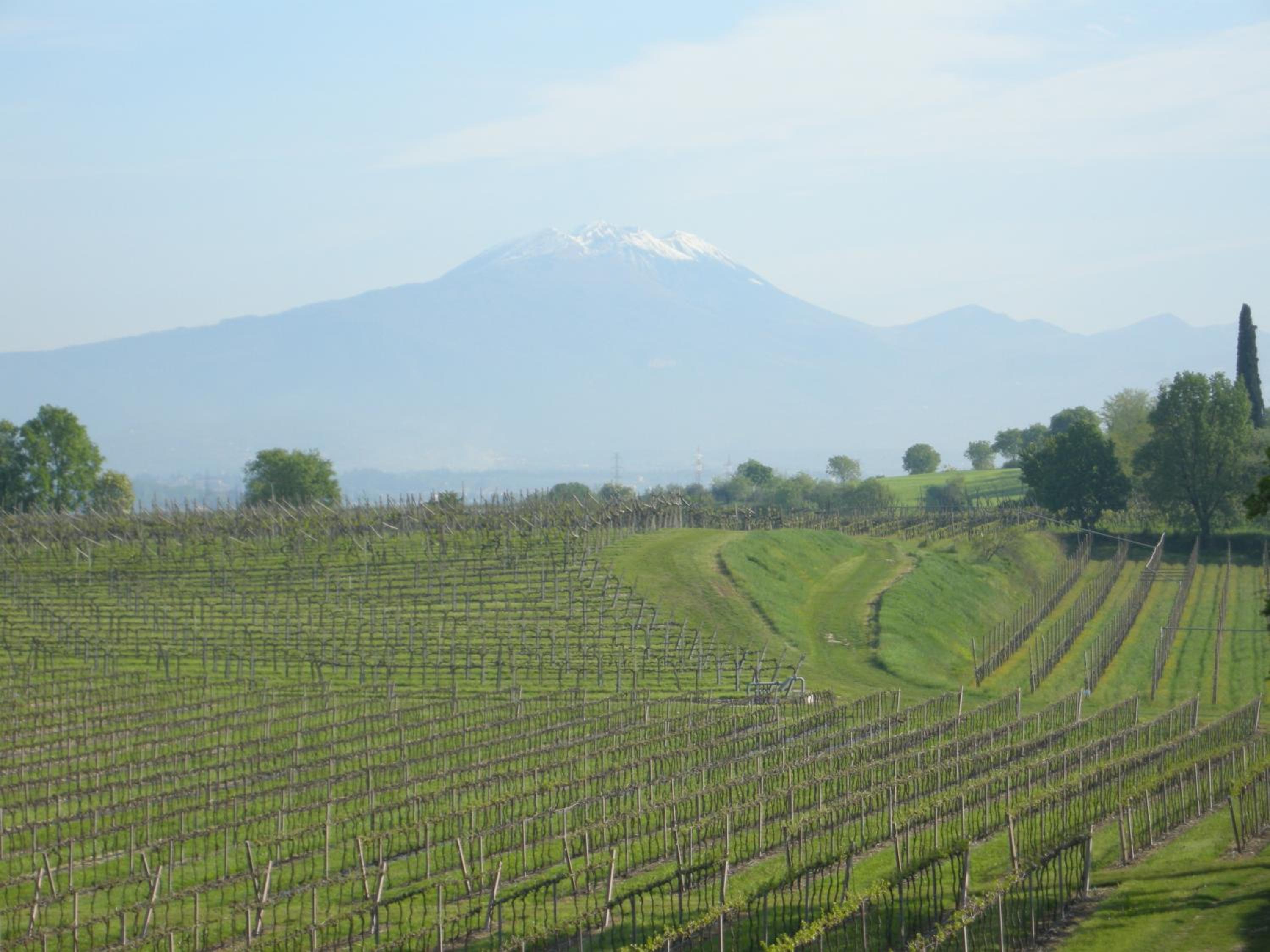 I Vigneti Bed & Breakfast view 5