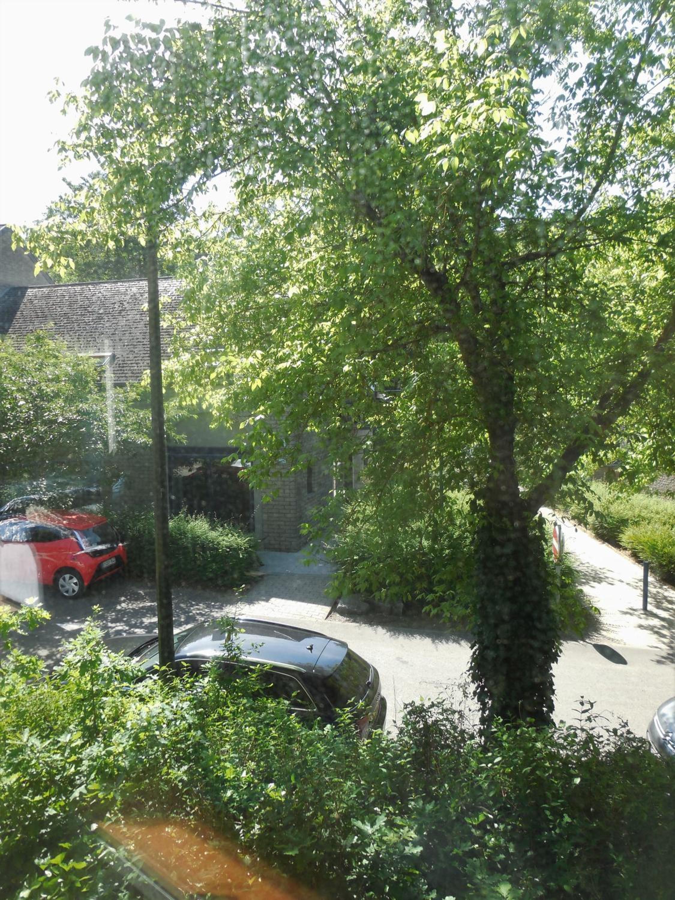Photo 24