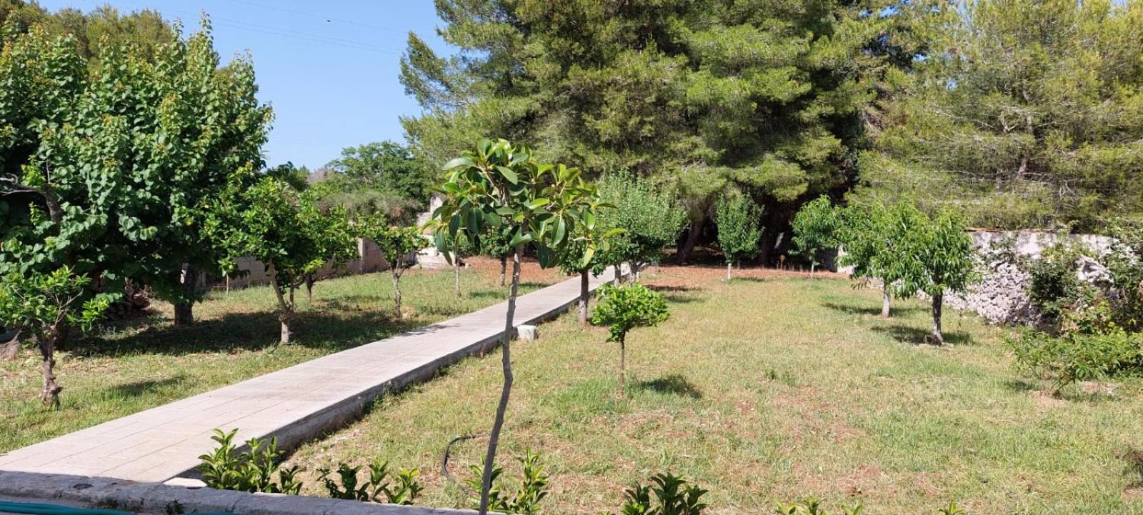 Casa Vacanza Plautilla - Salento Selection view 3