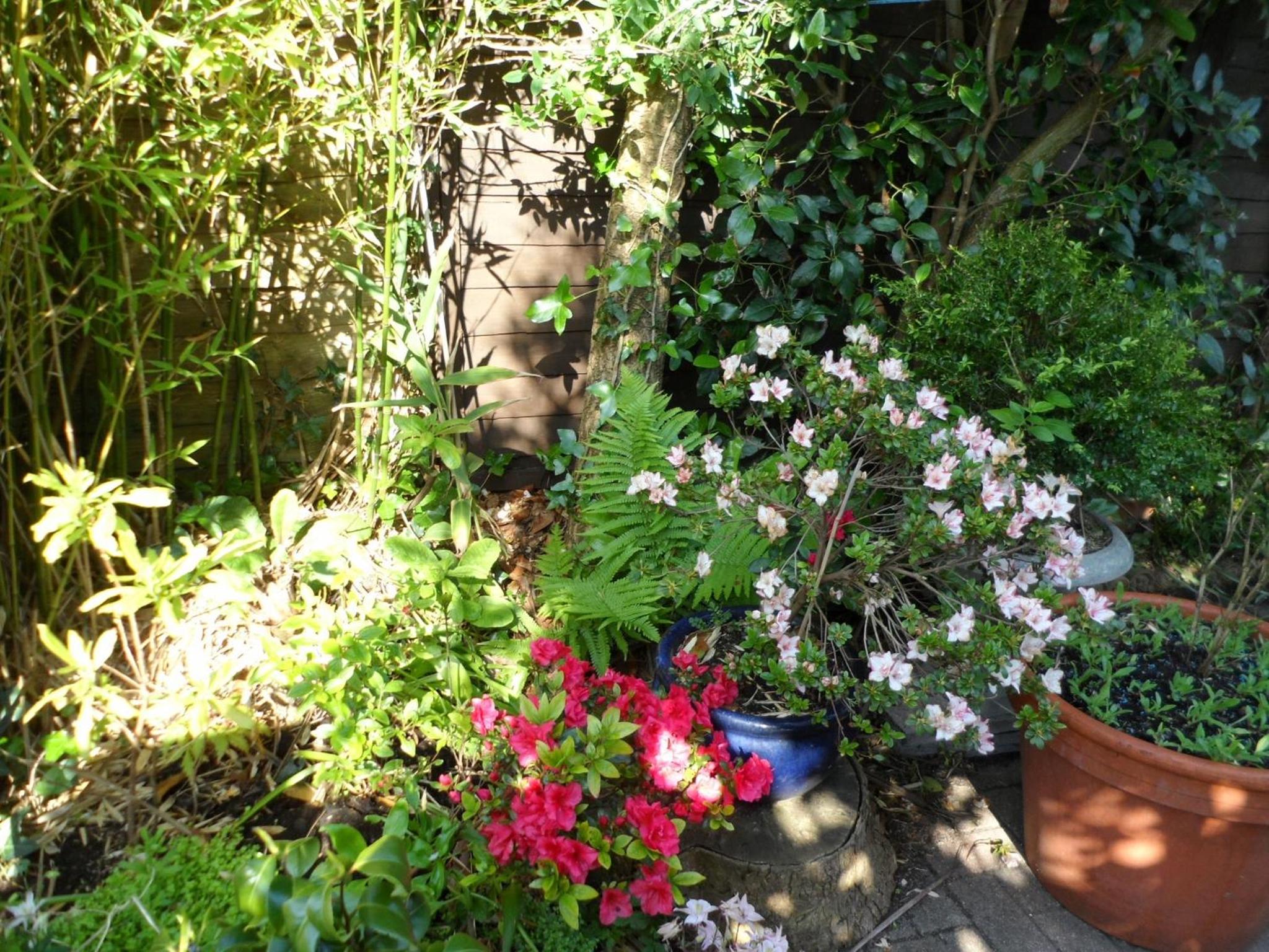 Photo 31