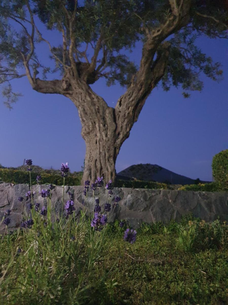 Photo 49