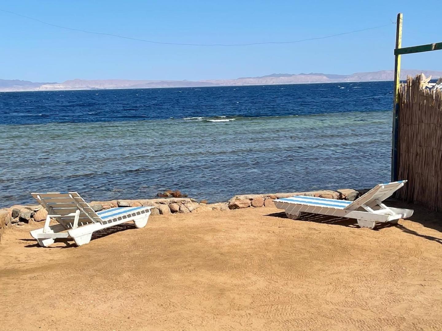 Dolphin Camp