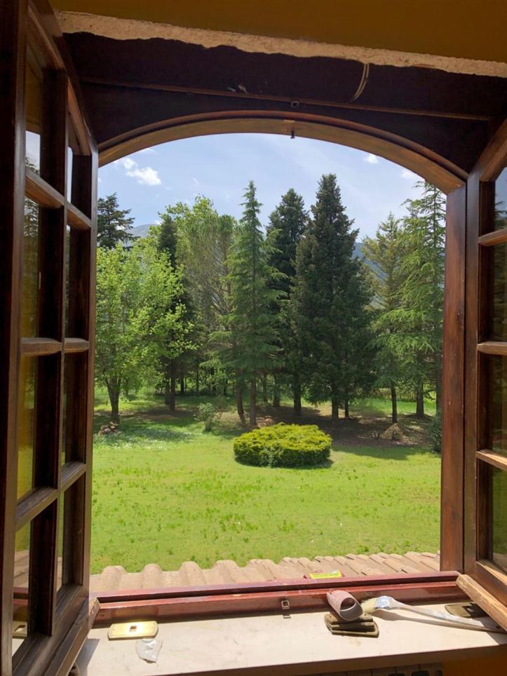 Casa Verde