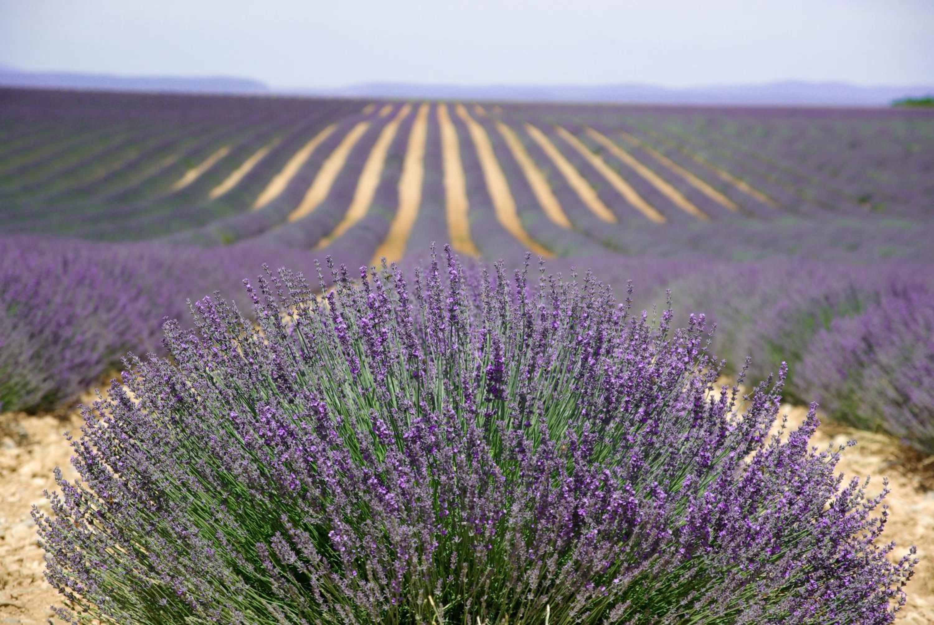 Un Coin De Luberon