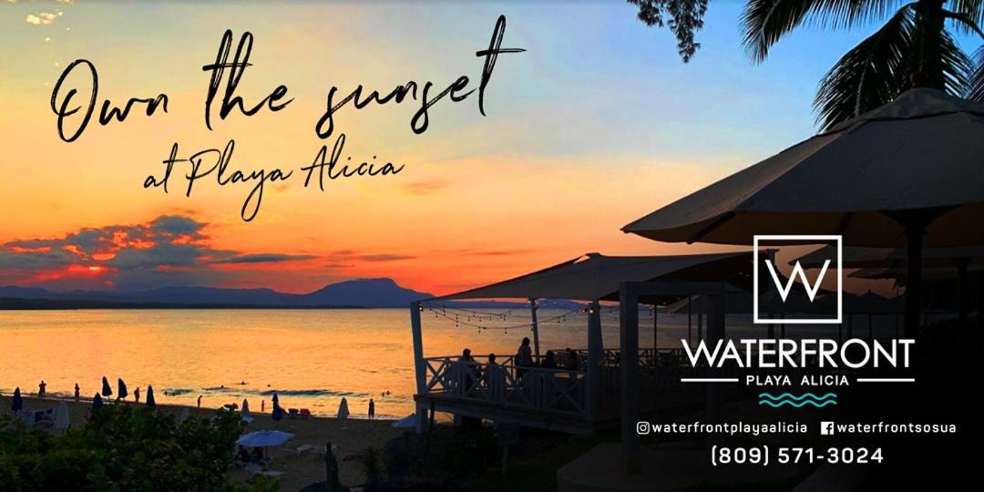 Bungalow #19 at Waterfront Playa Alicia view 5