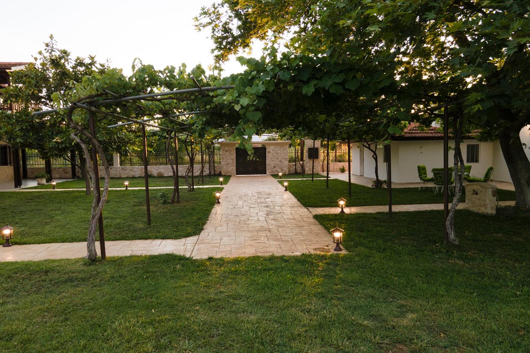 Photo 12