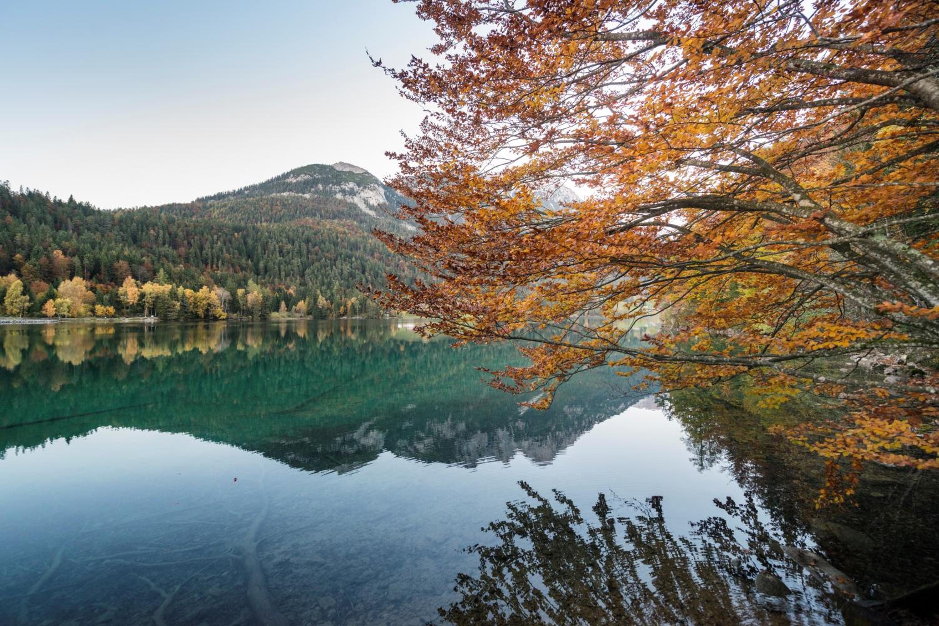 Mountain Fresh - alpine easy stay