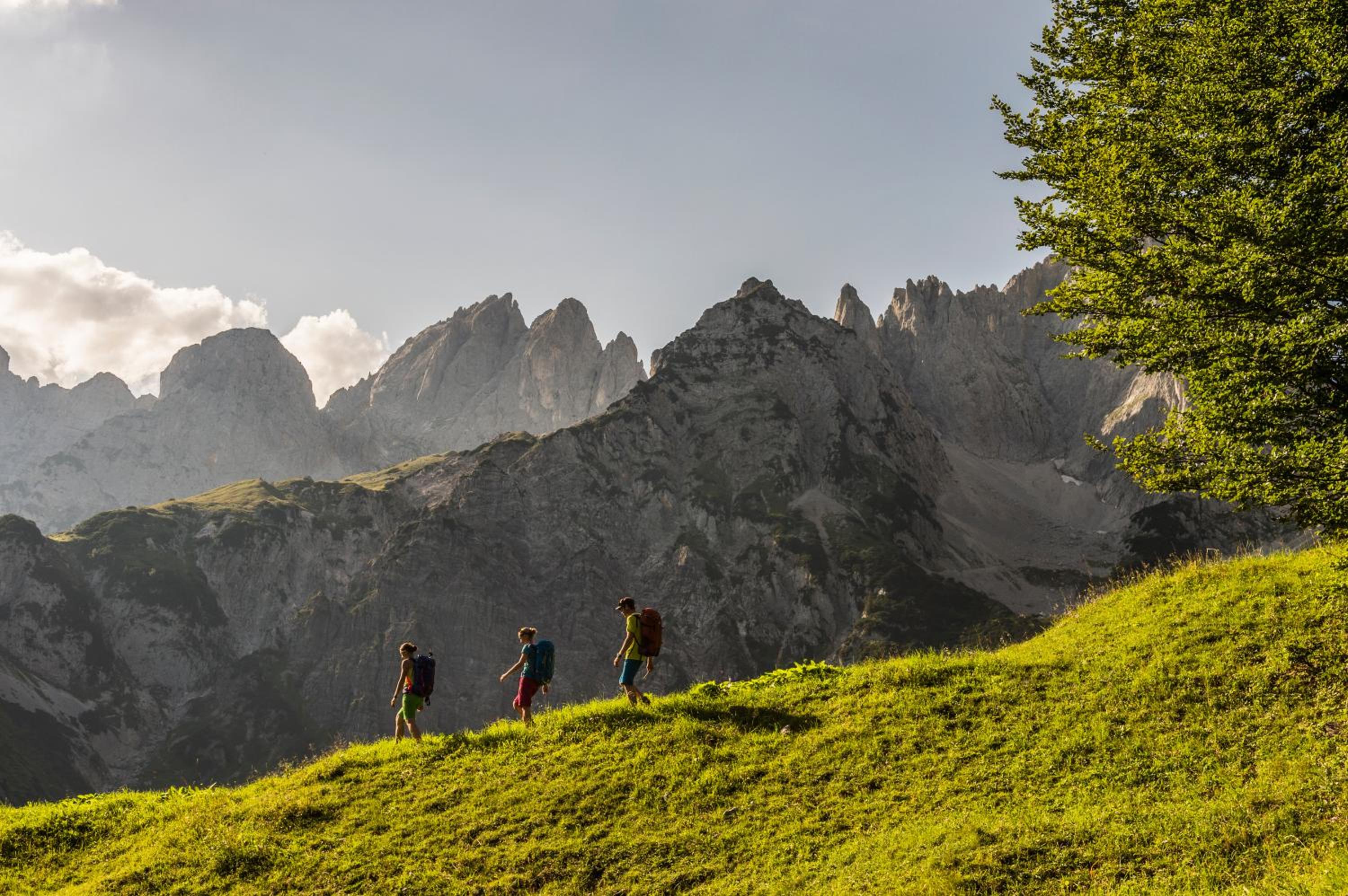 Mountain Fresh - alpine easy stay