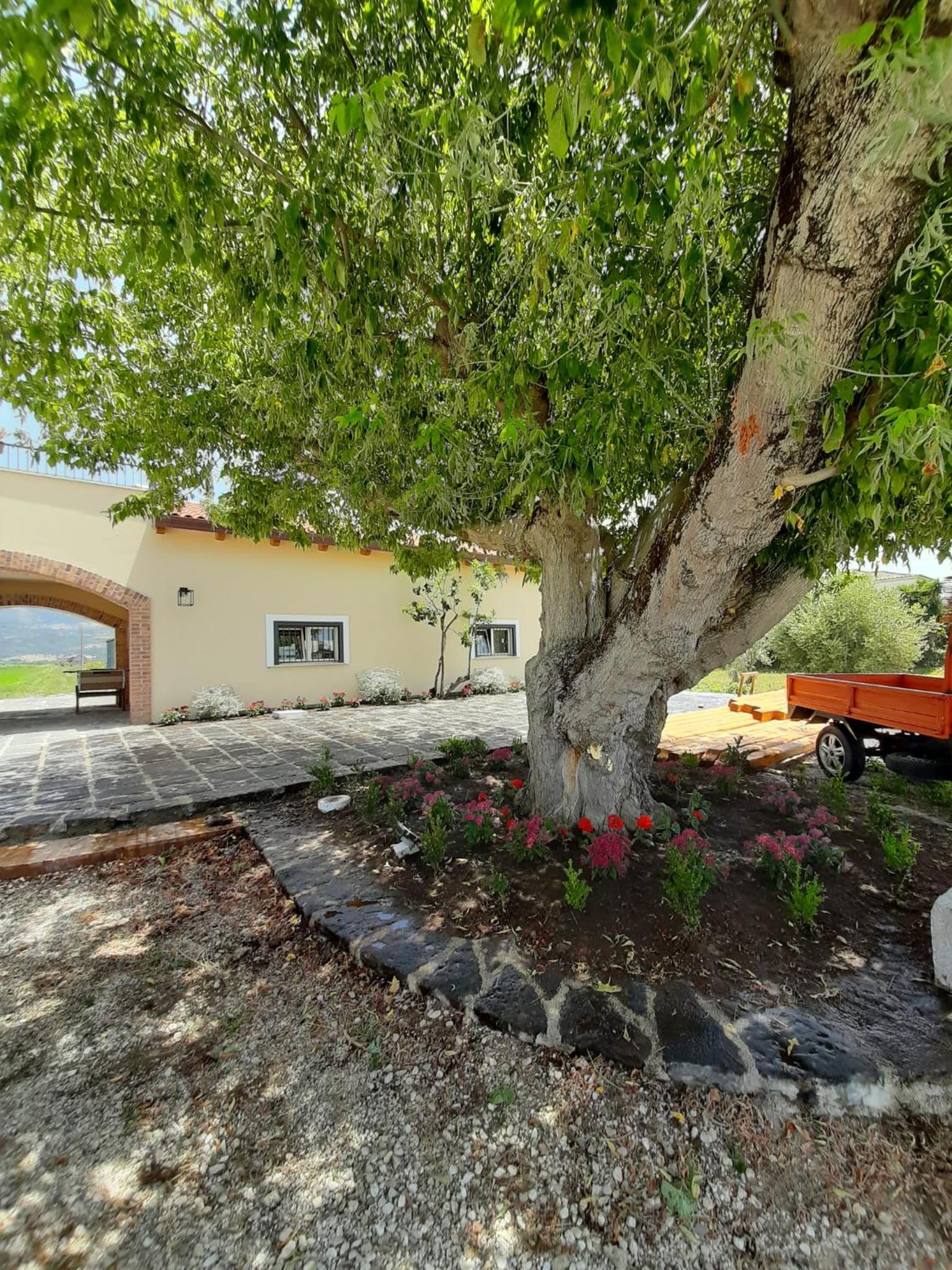 B&B Tenuta San Michele view 2