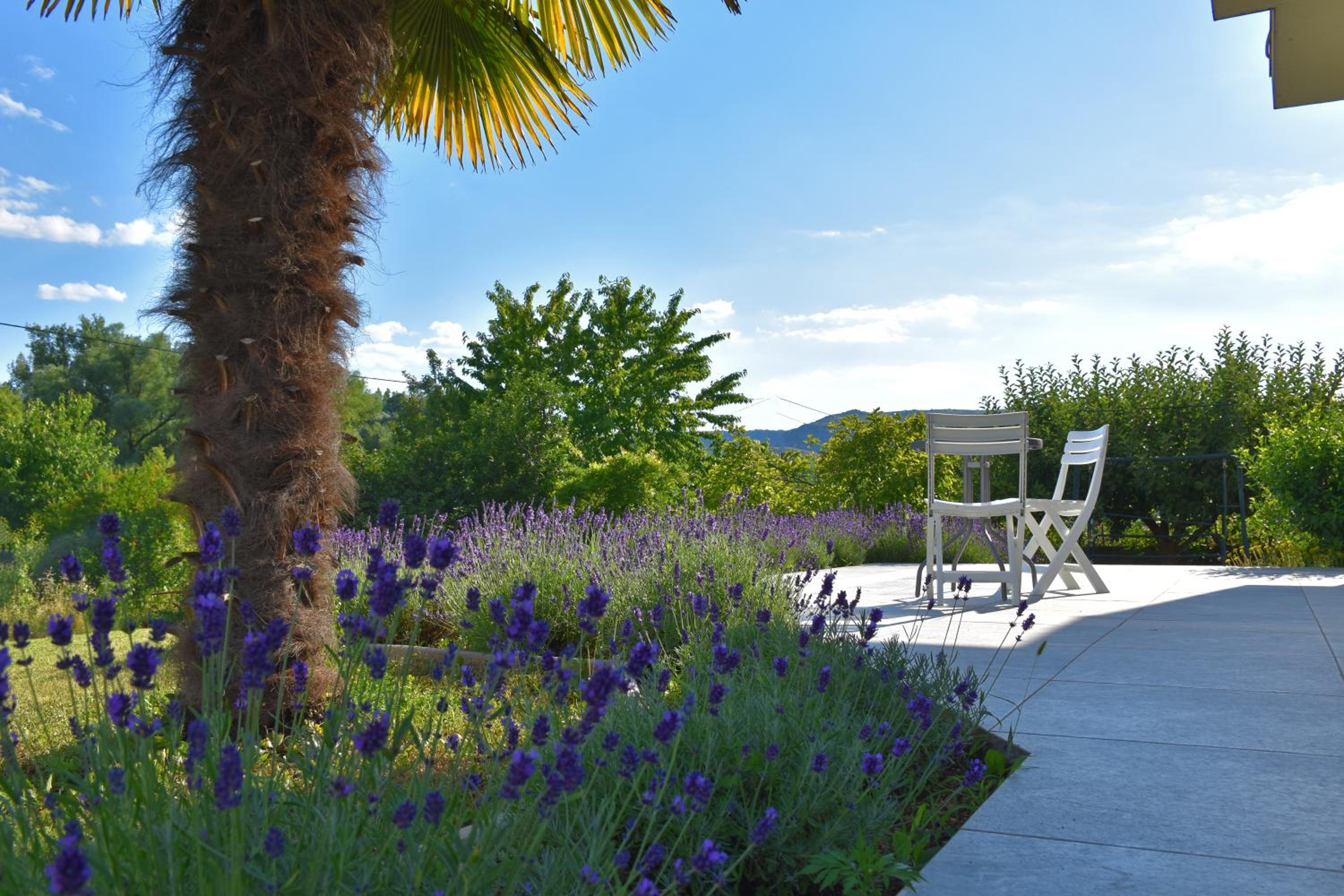 Villa Luka