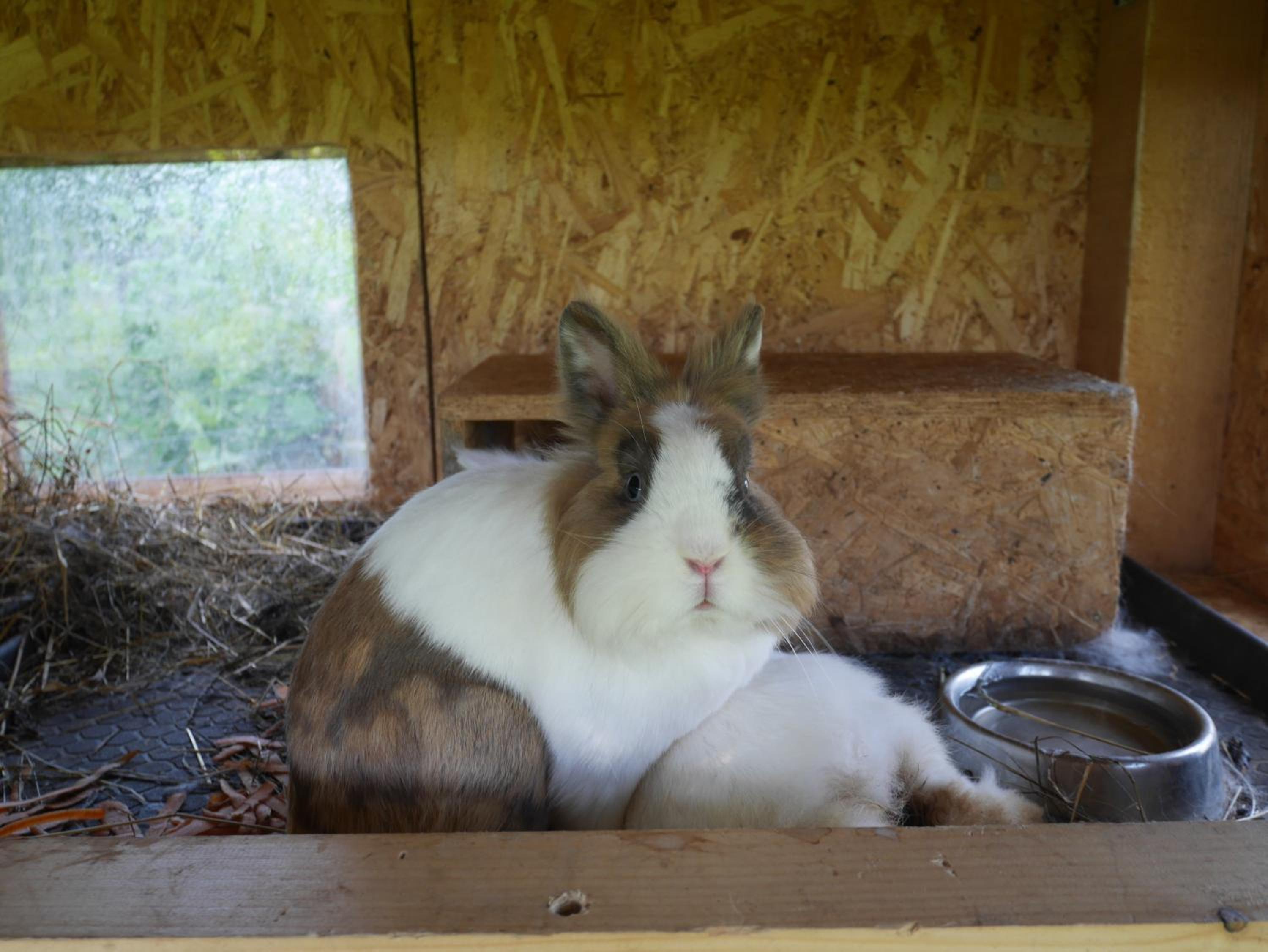 Photo 48