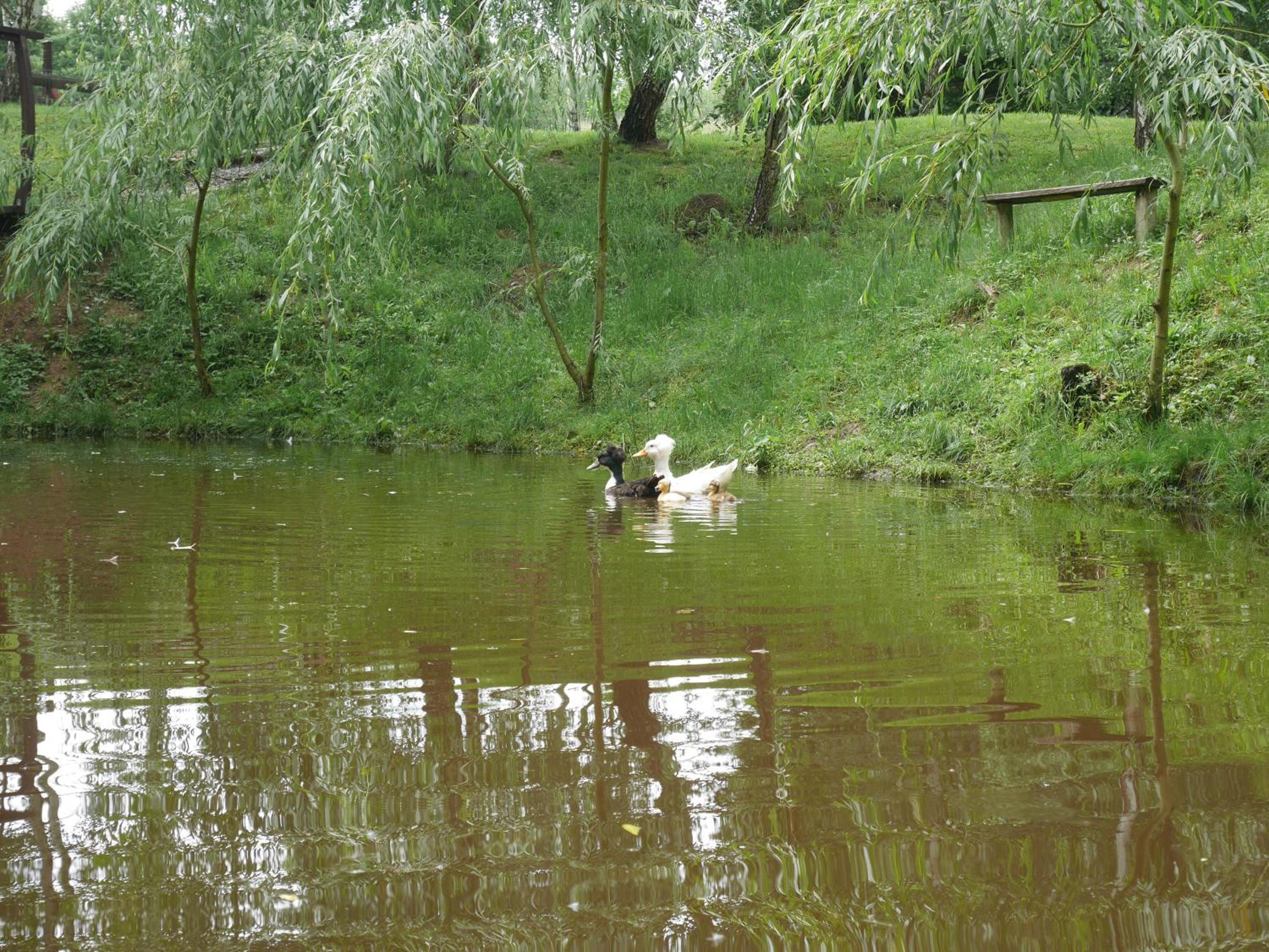 Photo 49