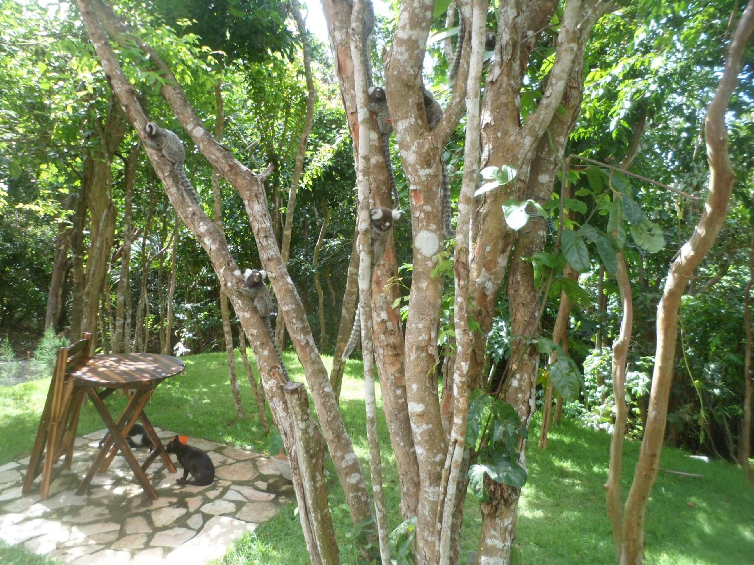 Photo 40