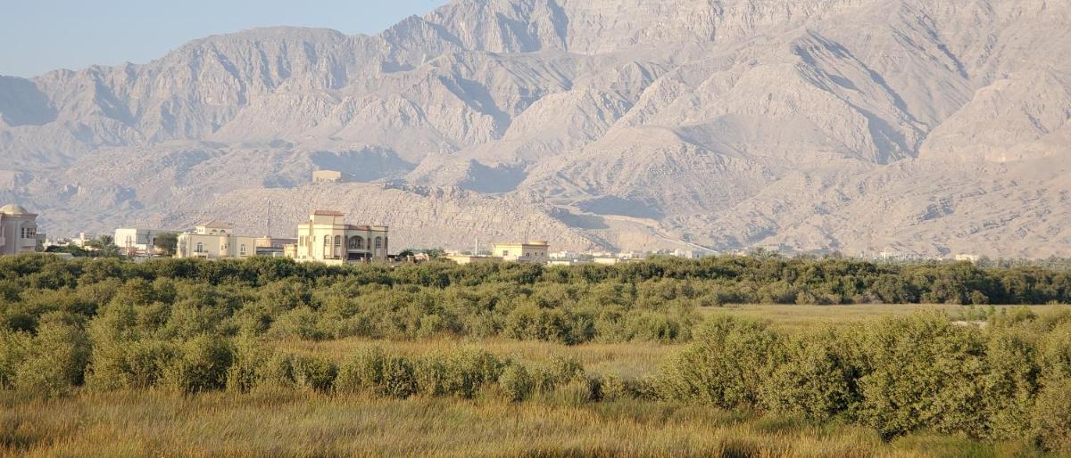 Lazeemah Chalet