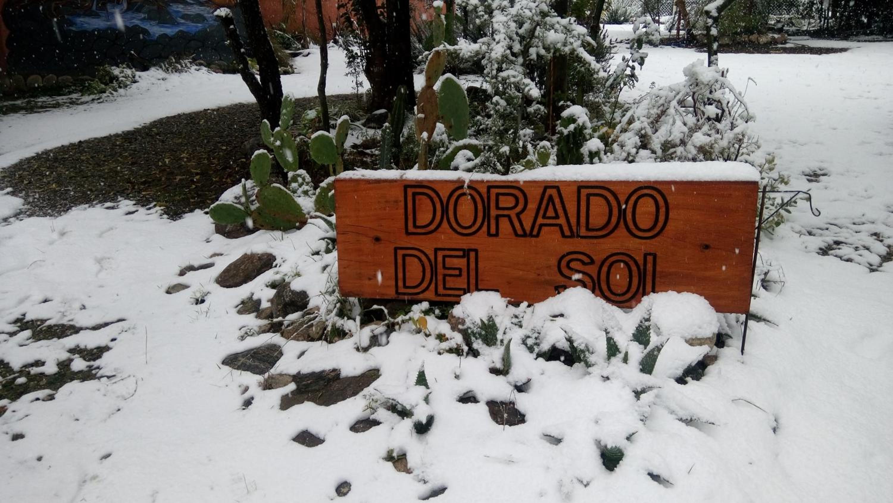 Dorado del Sol