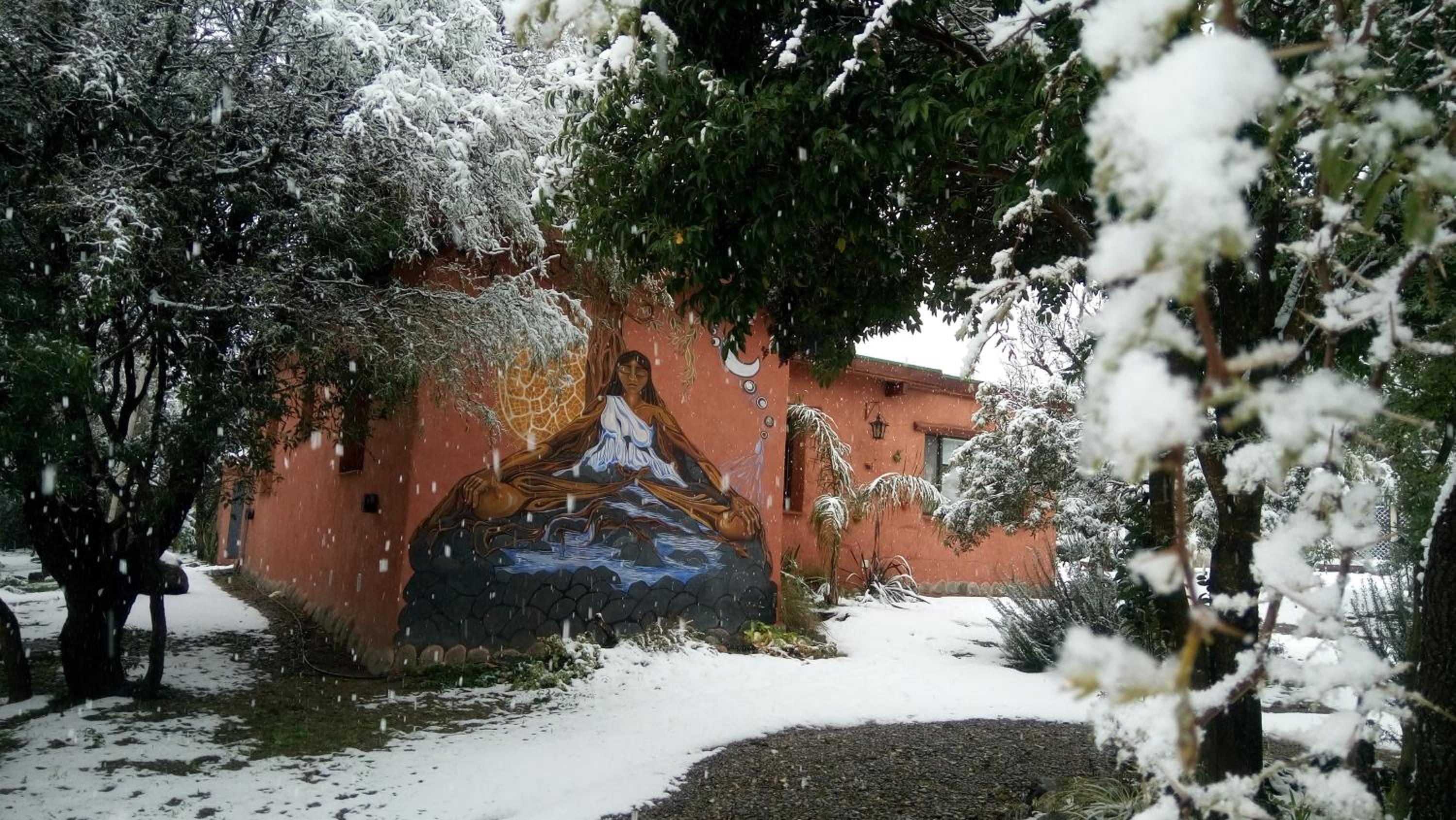 Dorado del Sol