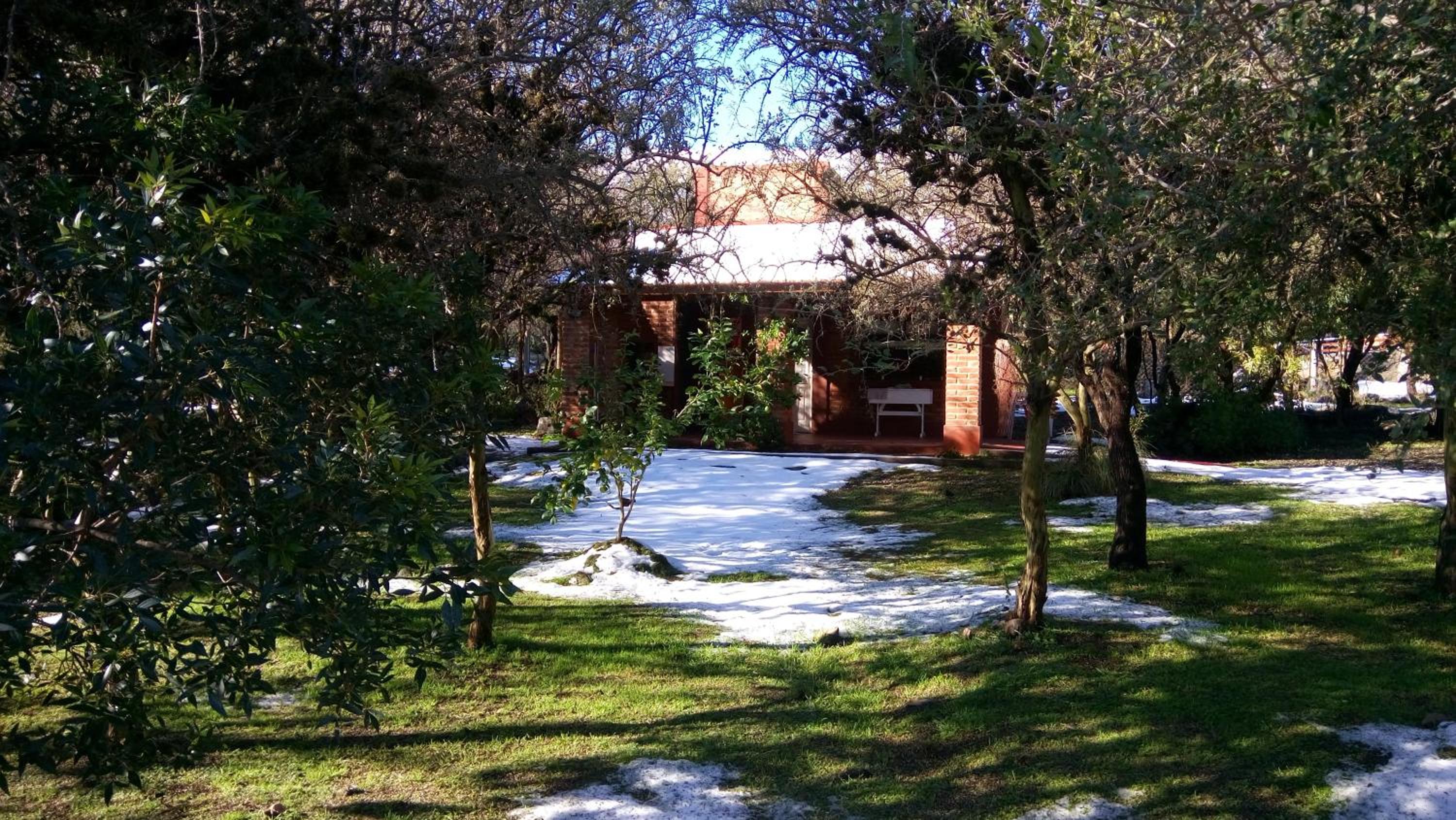 Dorado del Sol