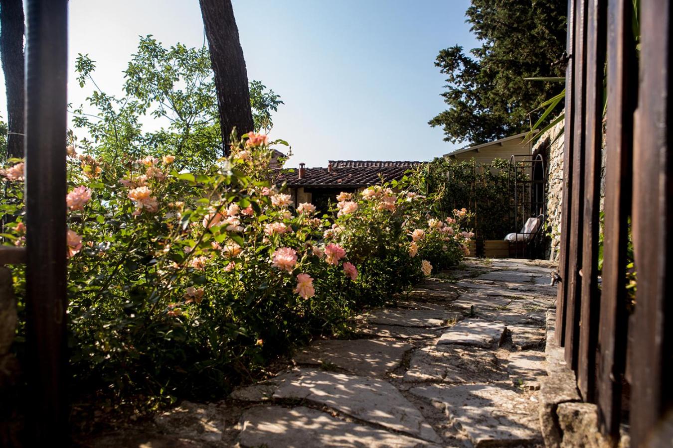 Villa Ancora Tenuta Lonciano view 3